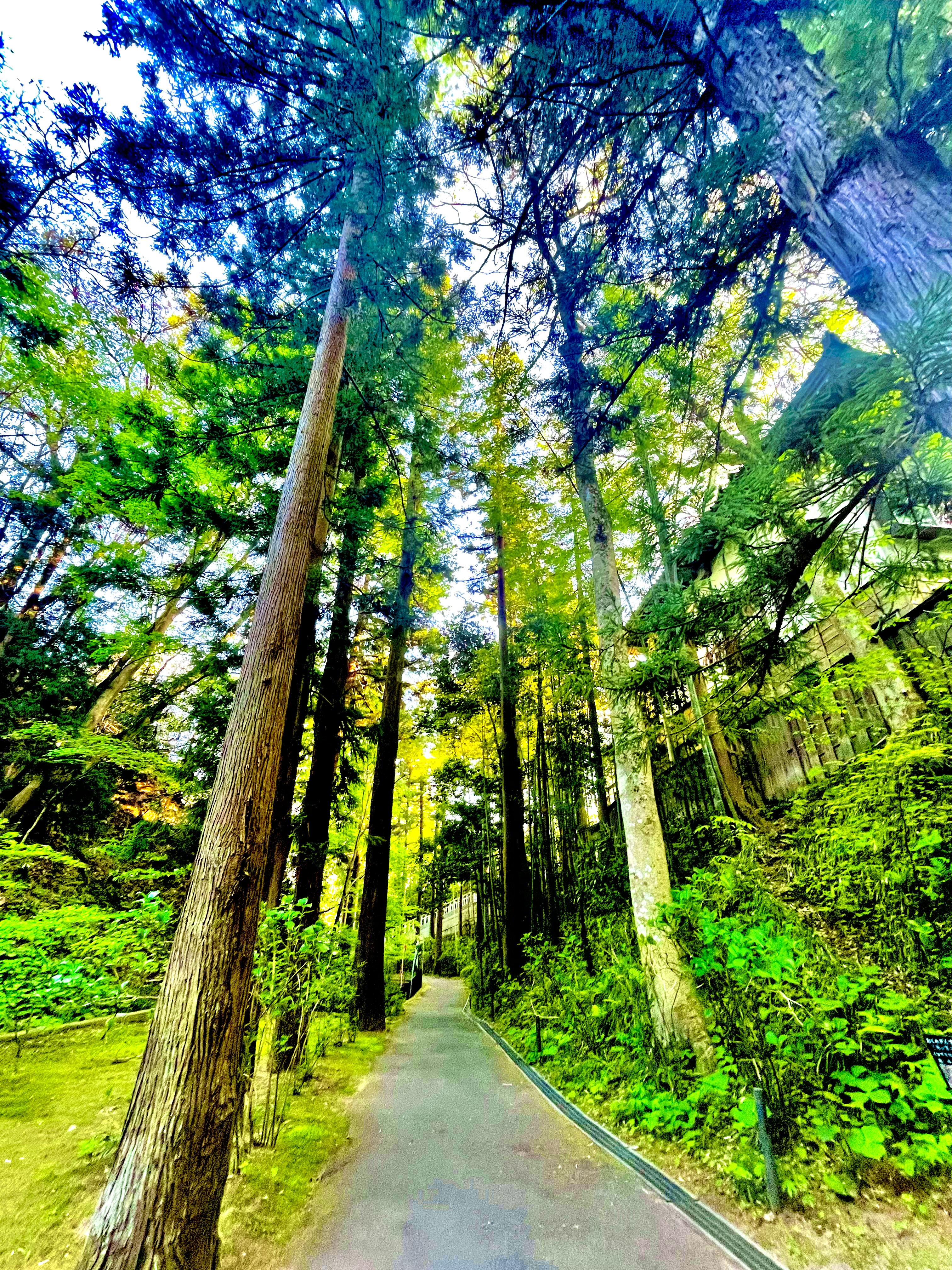 春の車検と点検で安心ドライブを！タイヤ交換予約もお早めに🚗