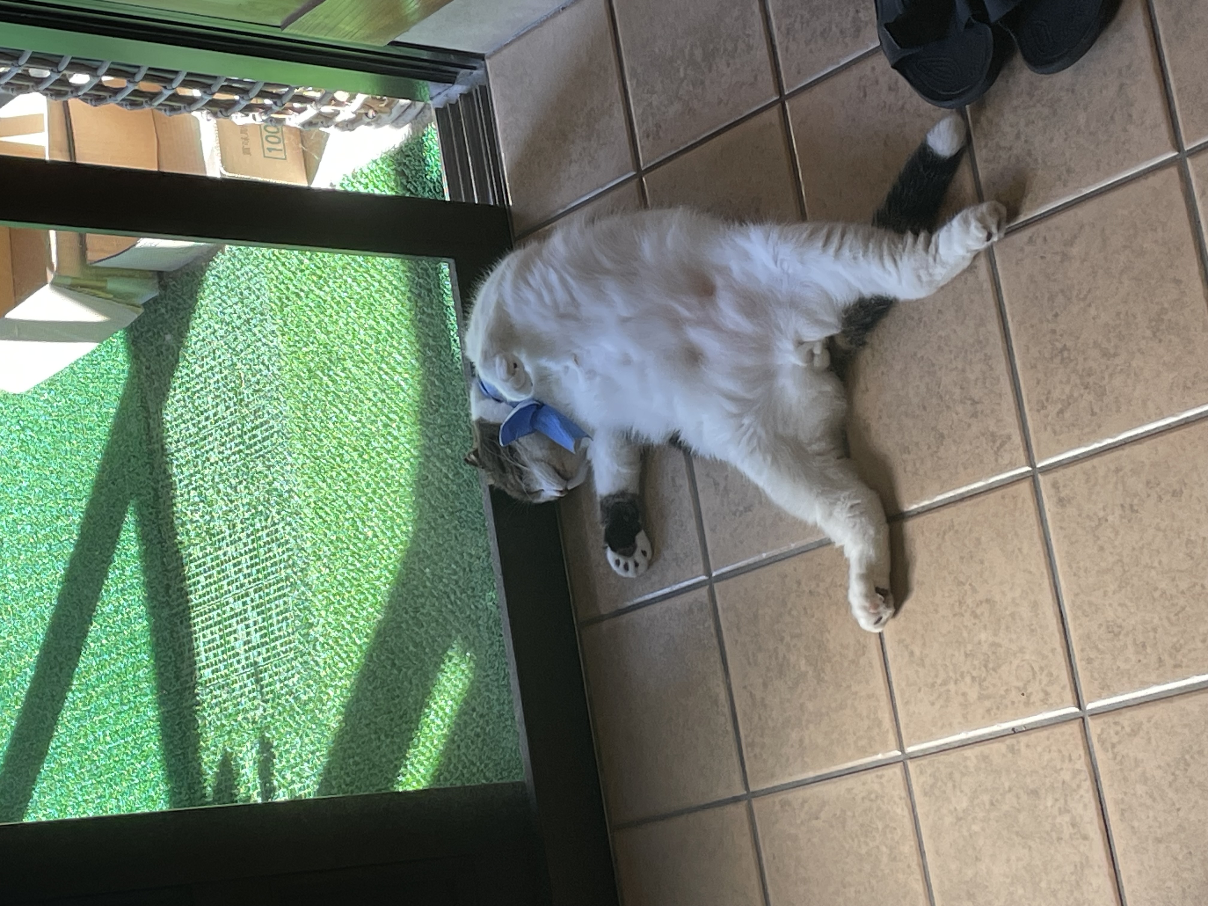 タイヤ交換とウォーターポンプ点検で安心ドライブを秋から冬へ🚗