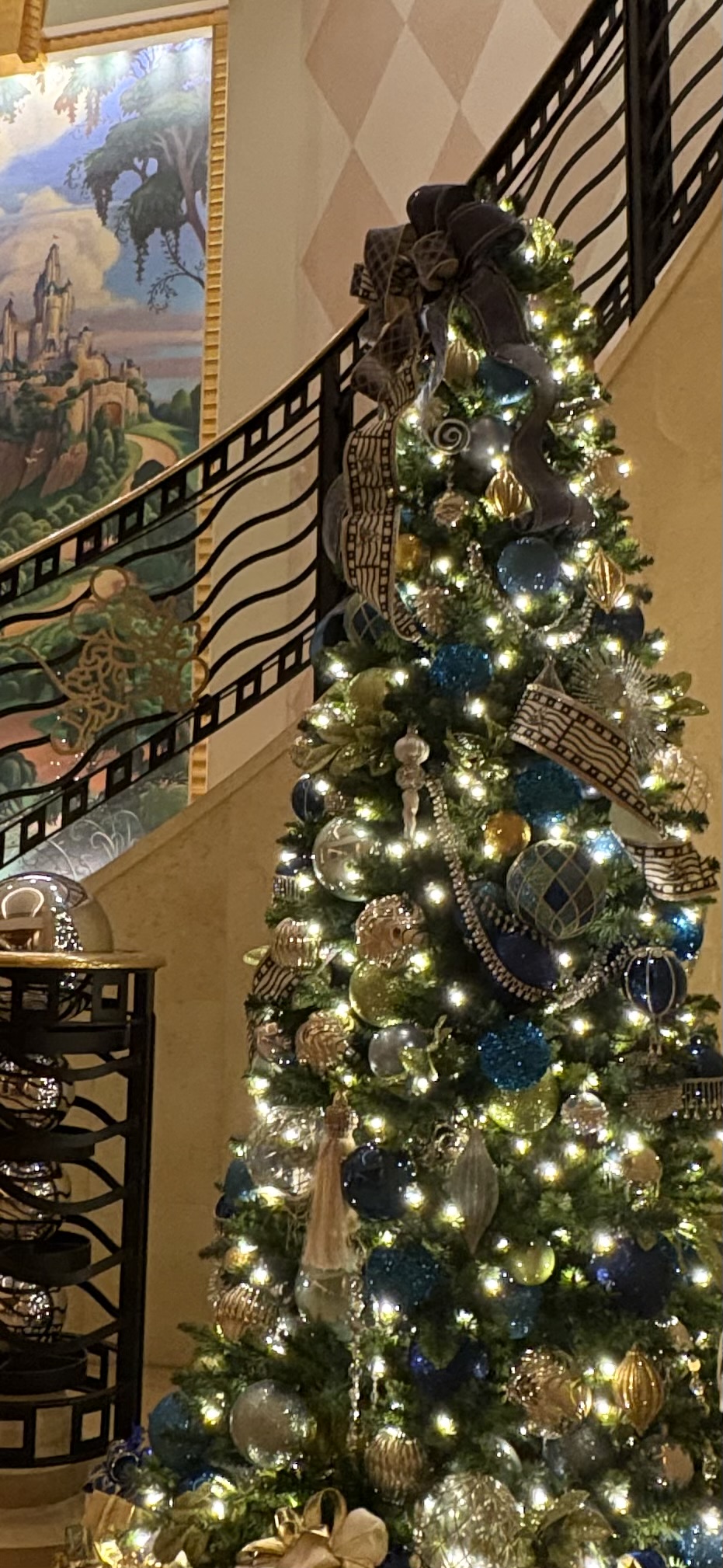 冬の愛車ケアにおすすめダイヤⅡコーティングと12月限定特典🚗