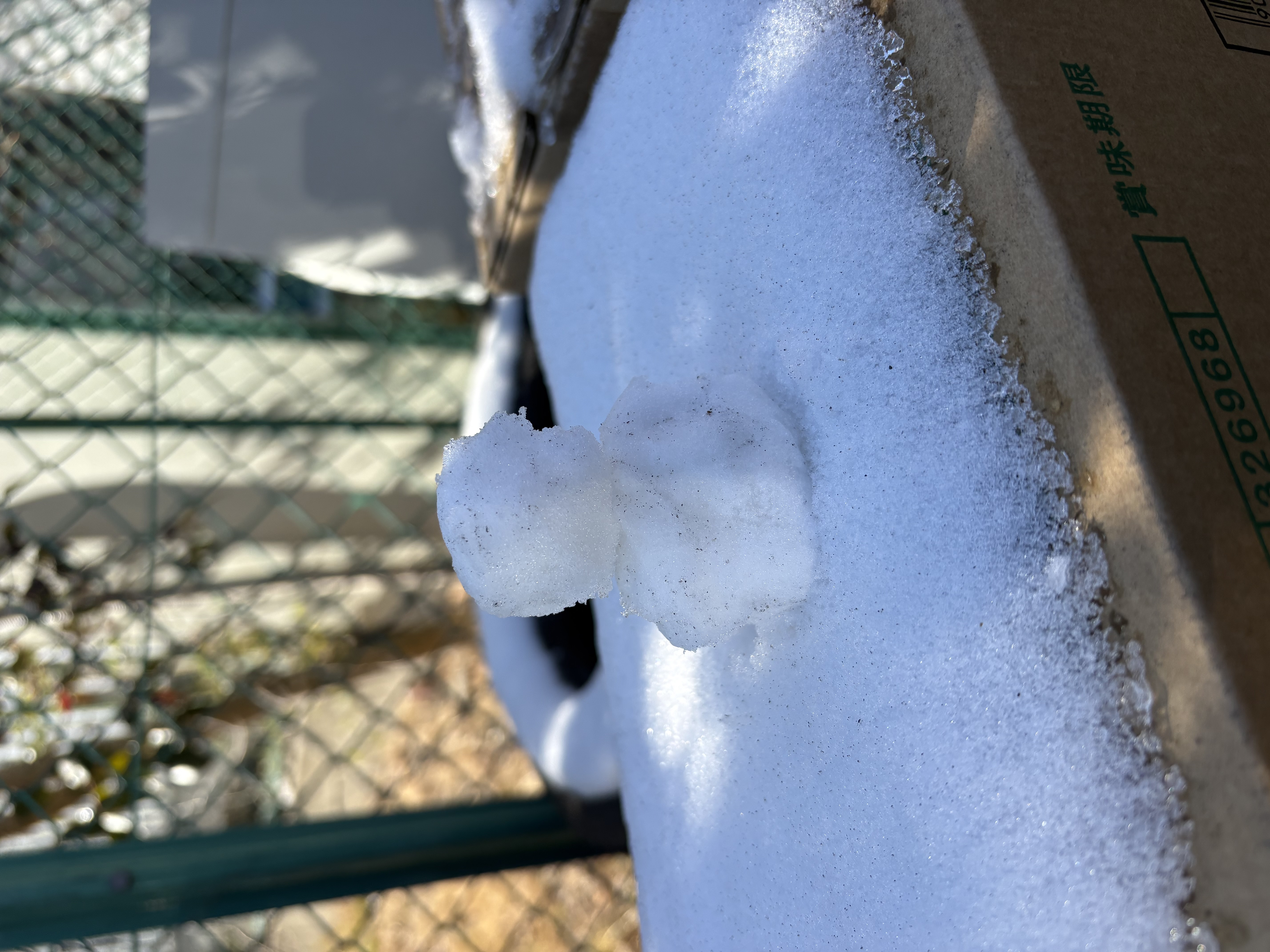 【ひんやり一枚】懐かしい雪景色と、これからの季節に欠かせない「車内の快適チェック」のお話☃️☀️