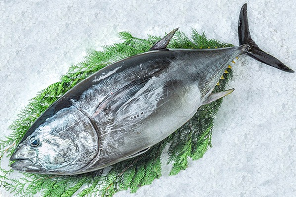 冬の愛車ケアとタイヤ交換なら新木場TSで安心サポート🚗