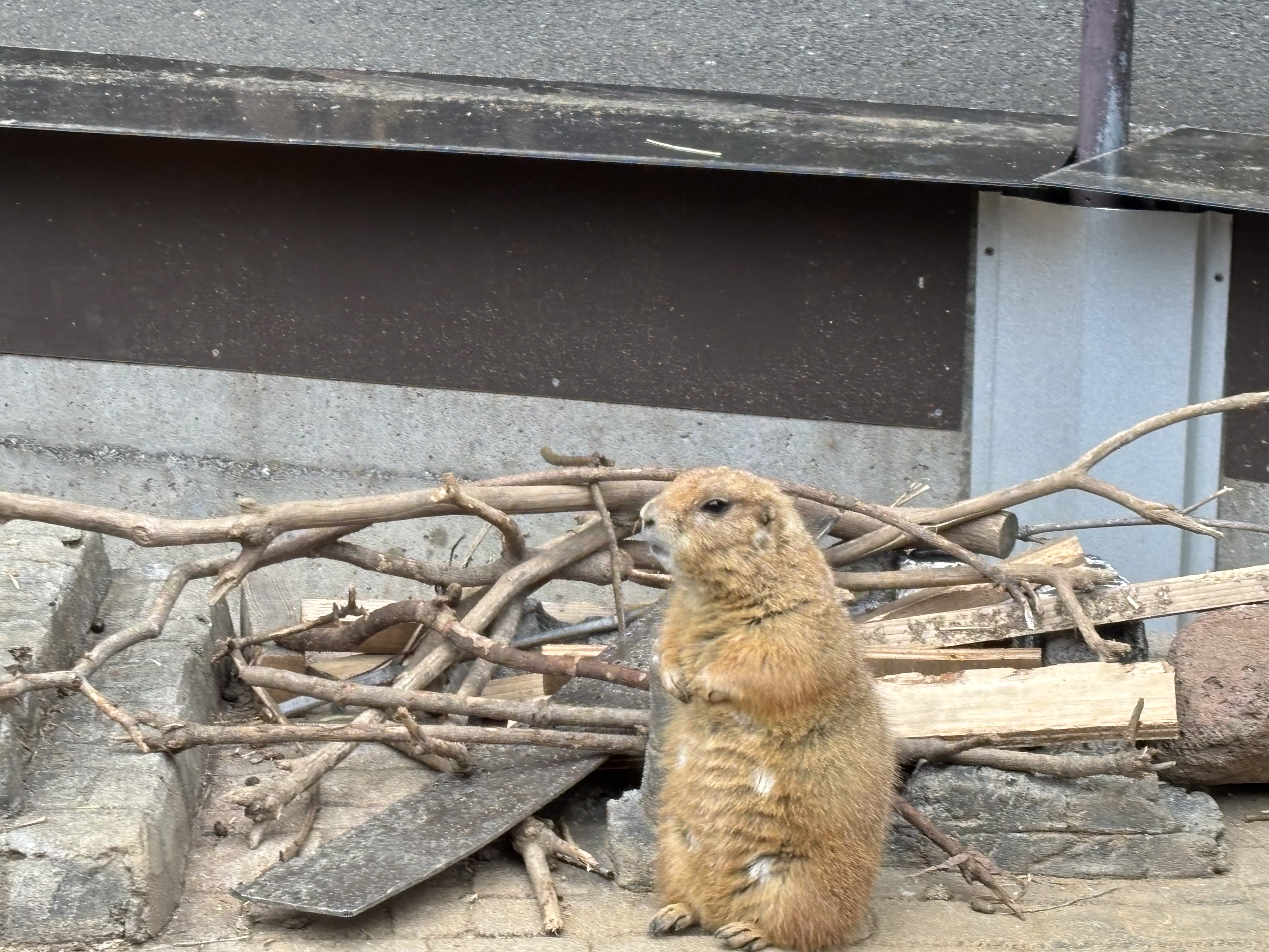 🚗 春の安心ドライブは「足元」と「視界」から！