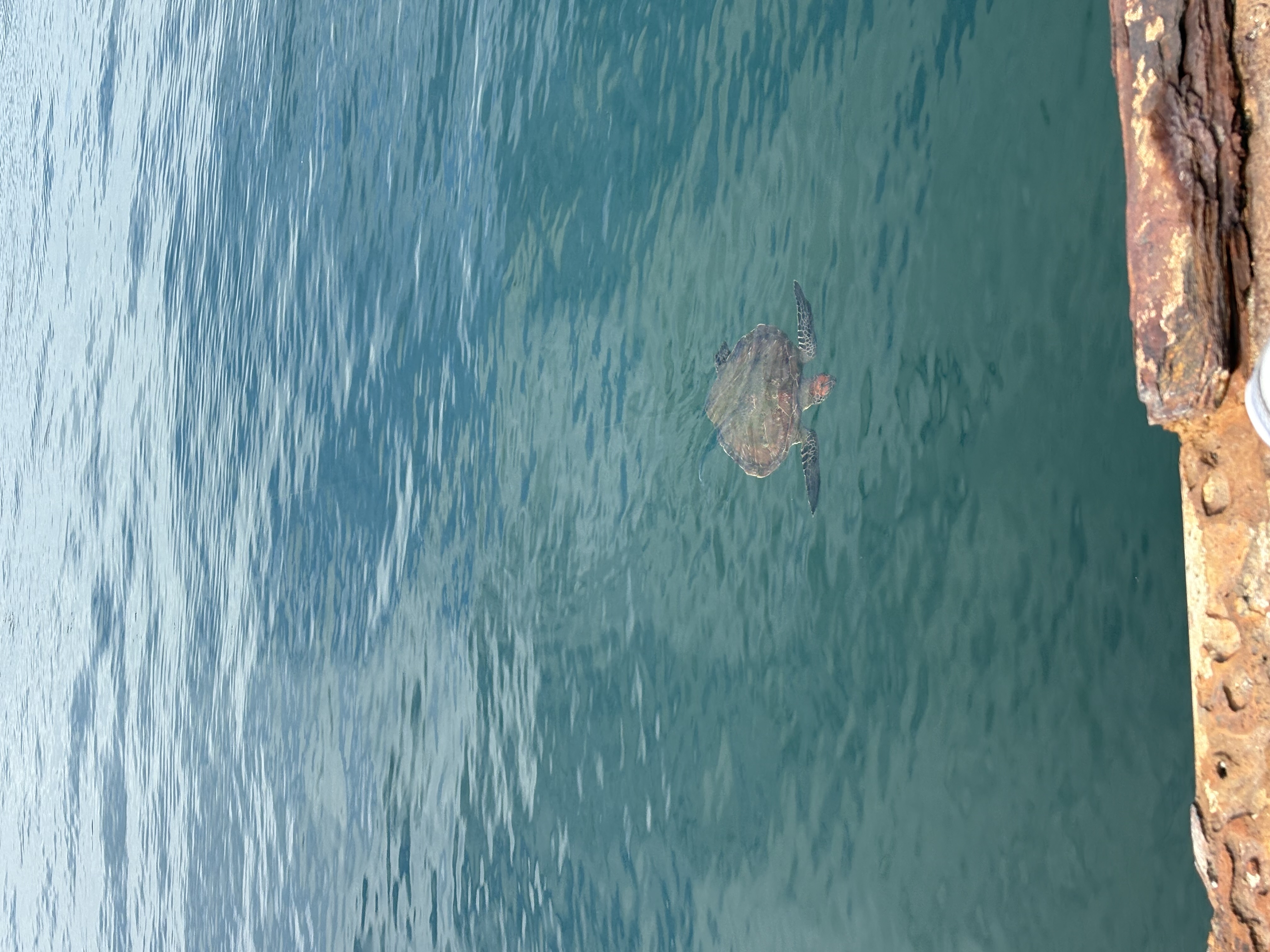 新木場TS秋のタイヤ点検とコーティング10%OFFキャンペーン開催中🌞