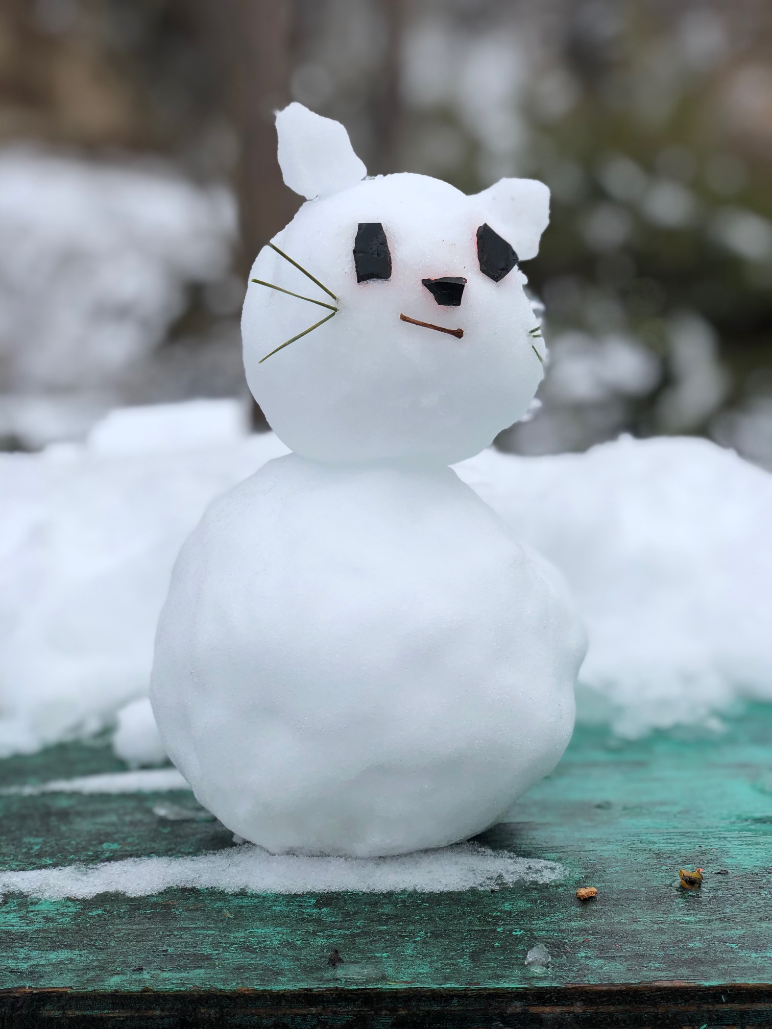 冬の準備はお早めに⛄安心ドライブのためのタイヤ点検と洗車情報