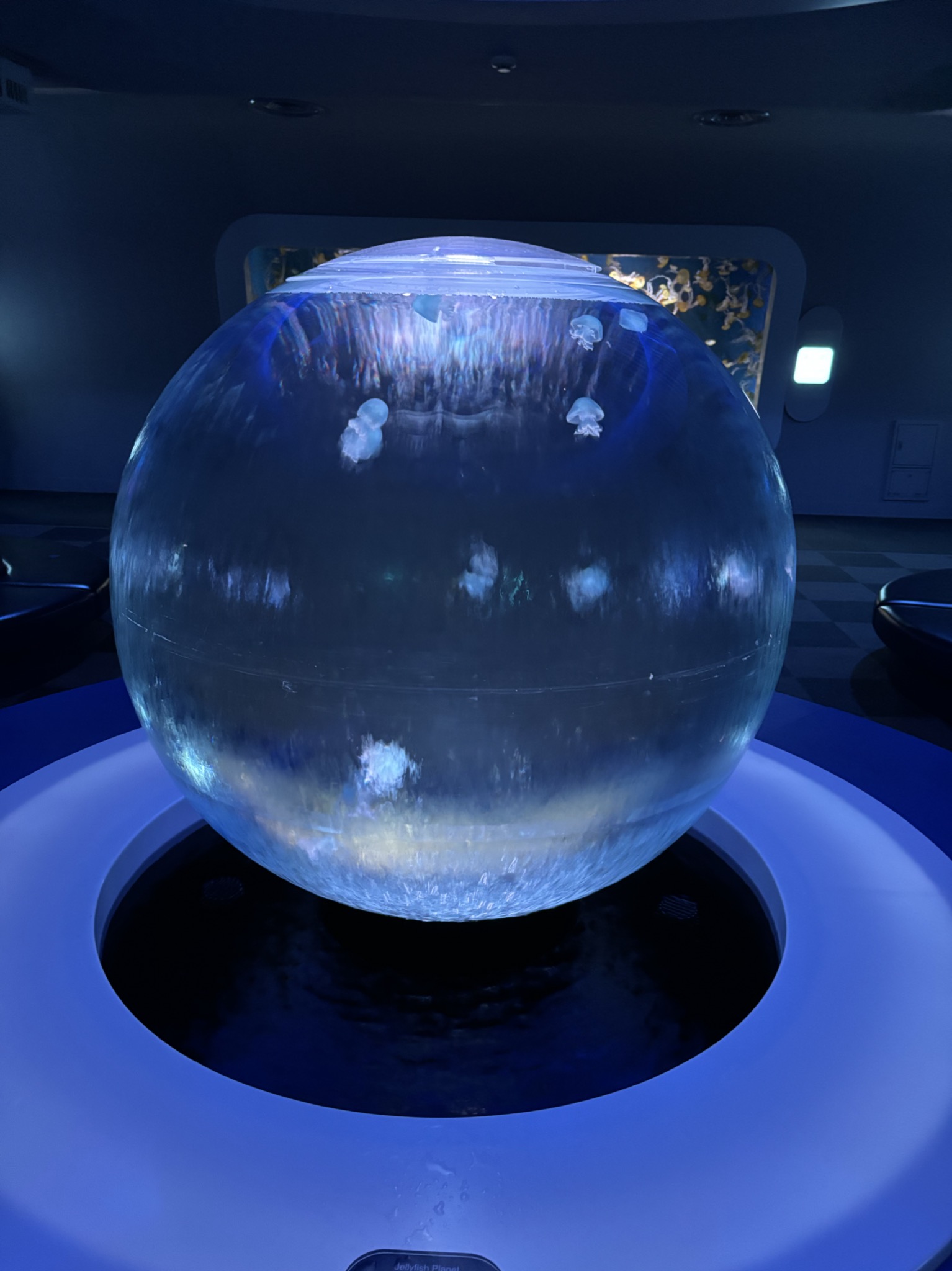 春の愛車ケアは藤沢TSで洗車・空気圧点検・コーティングを🌸