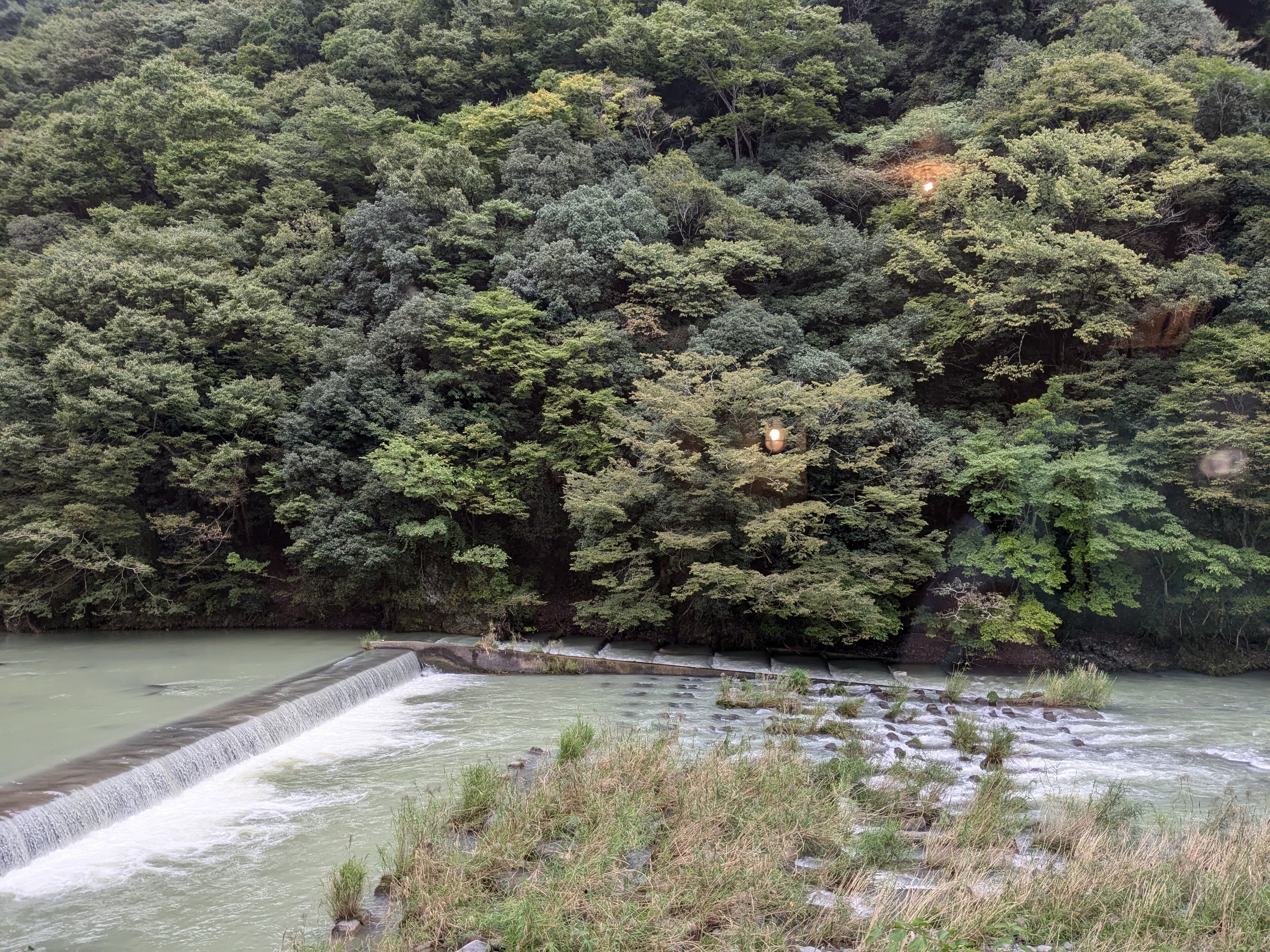 あるけばかつこう　いそげばかつこう