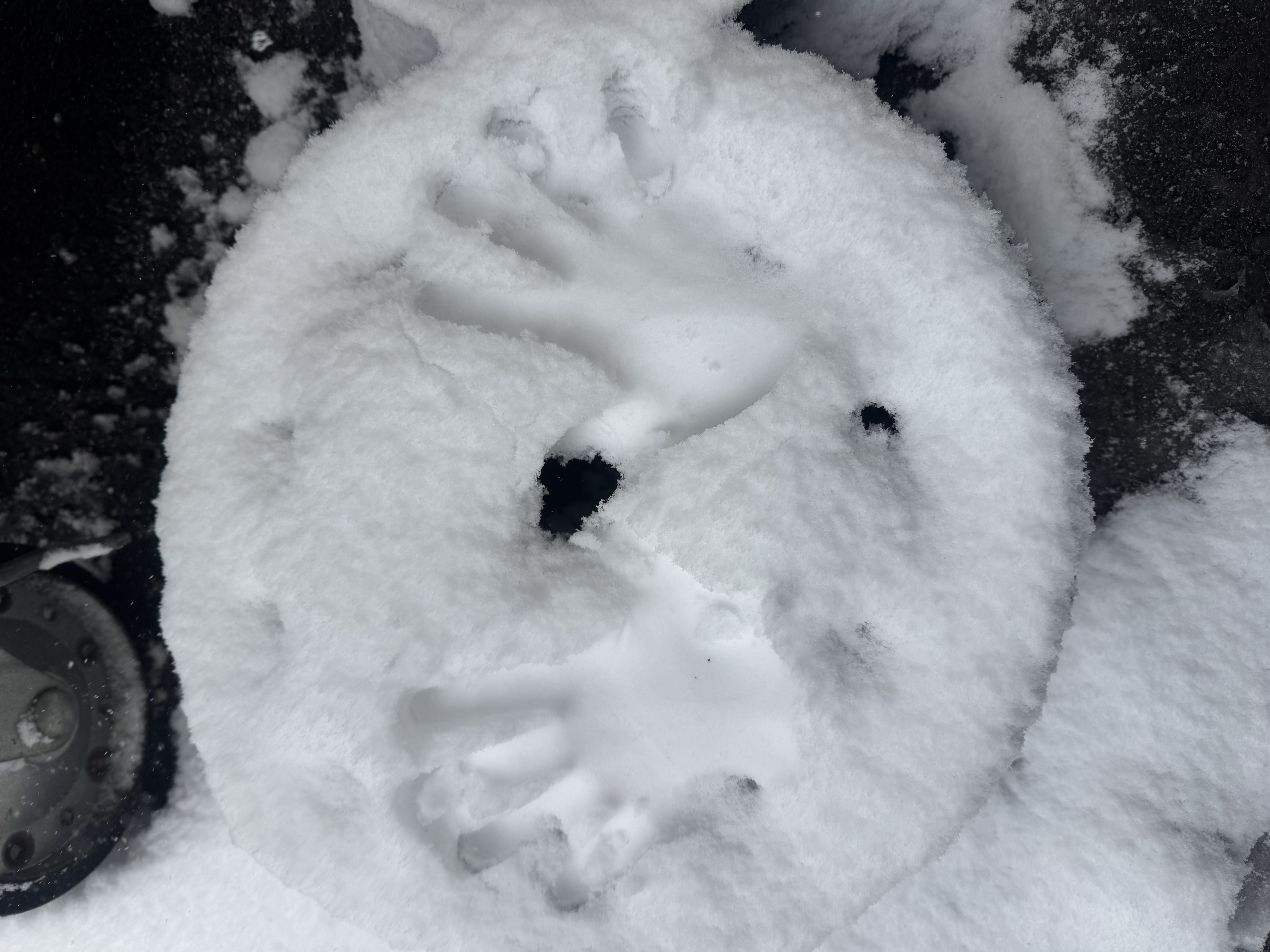 冬の車メンテナンスと洗車のコツ教えます🚗セルフ平塚SSから
