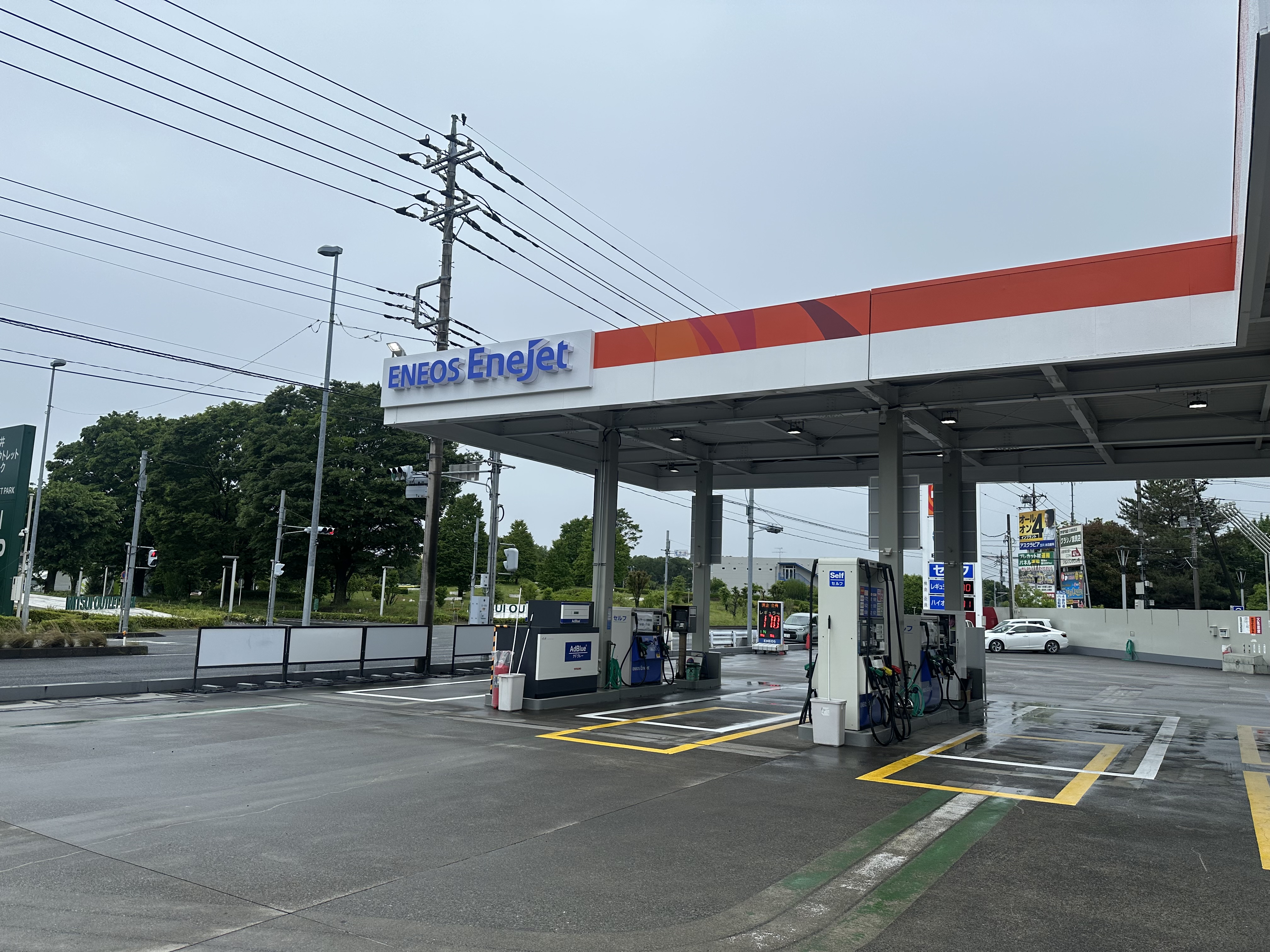 今日も元気に