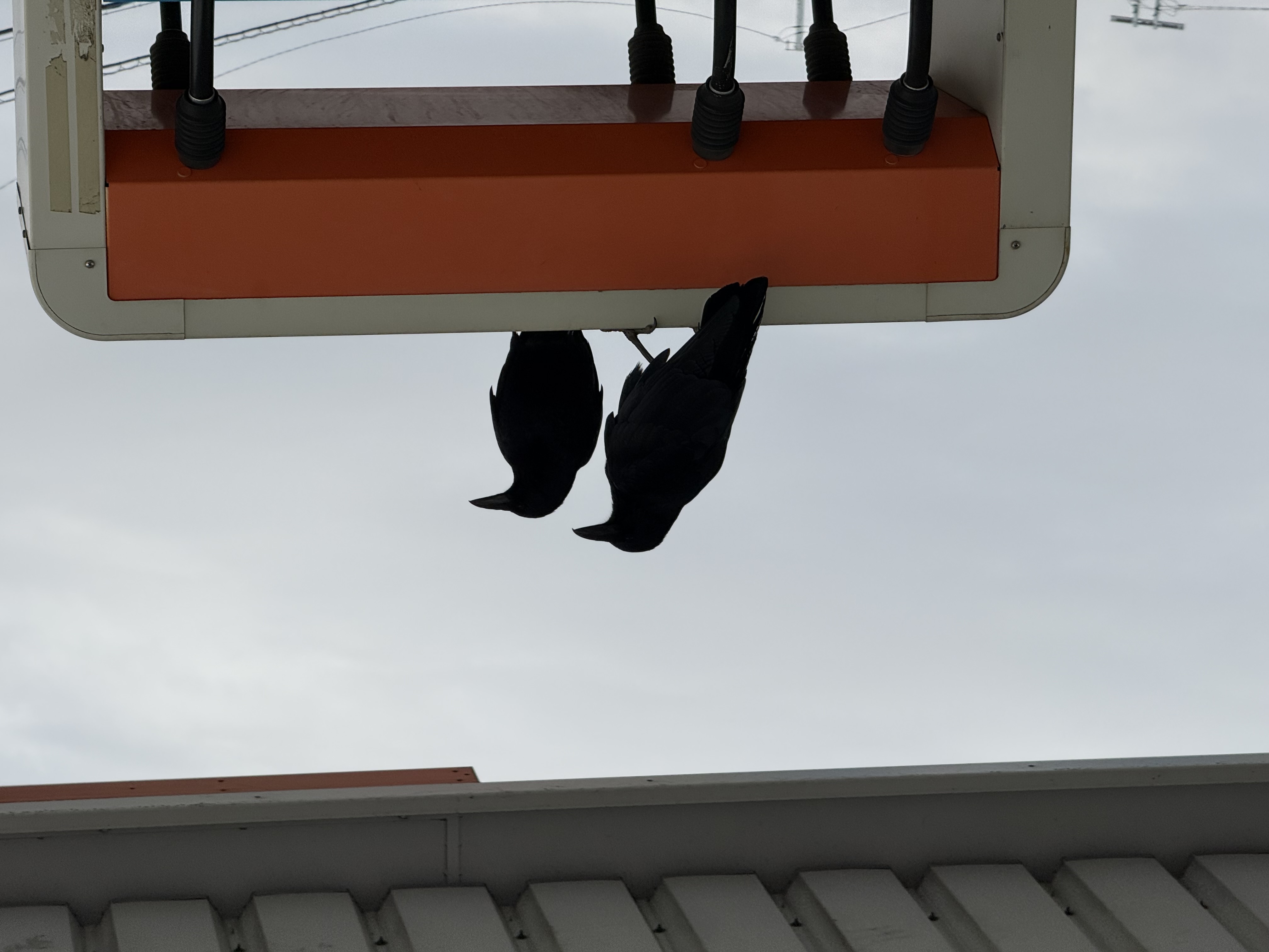 冬の車メンテナンスポイントとルート122加須TSの便利サービス⛄️