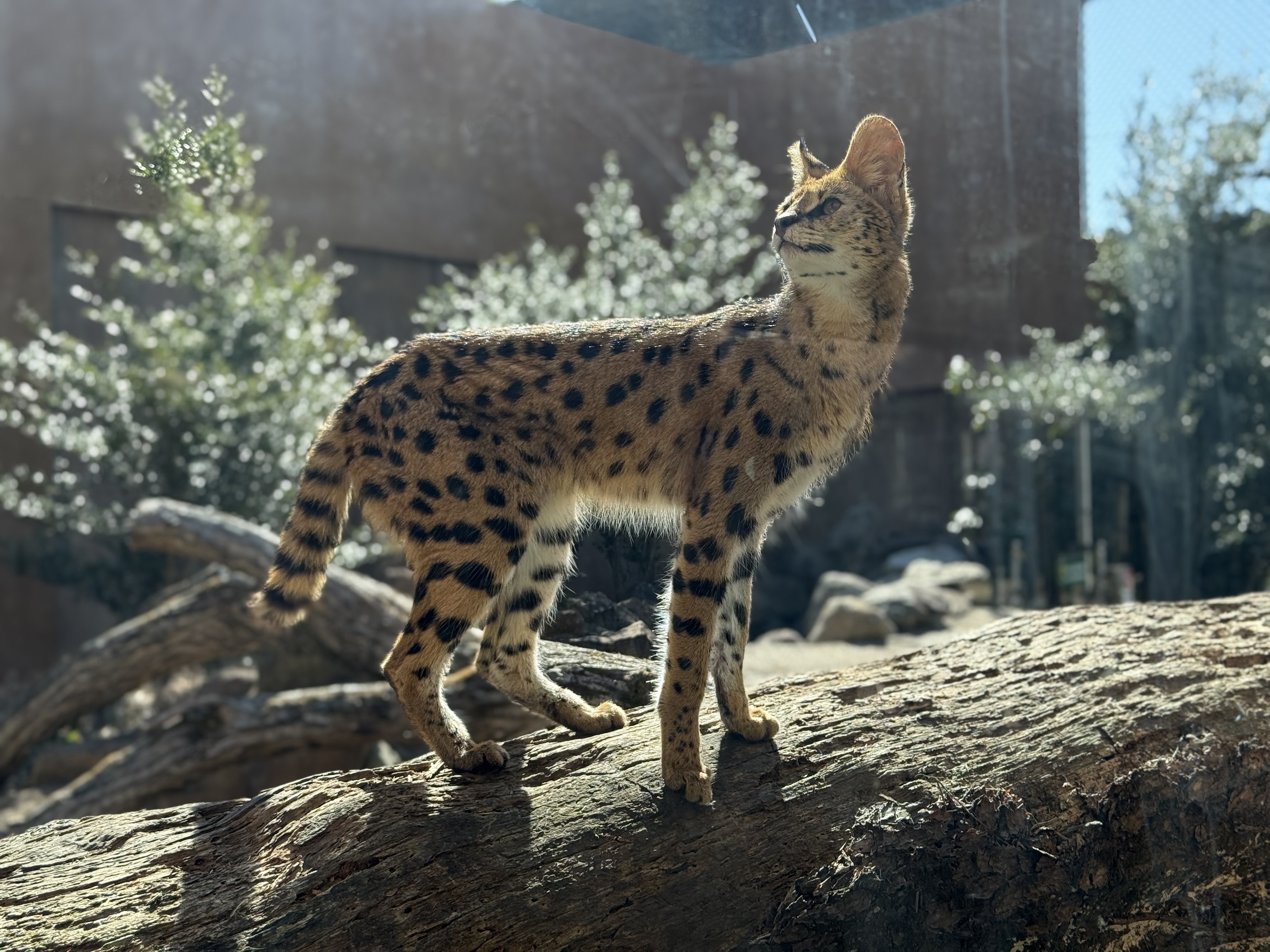 冬のドライブ安心対策と洗車サービスをルート122加須TSでチェック🚗