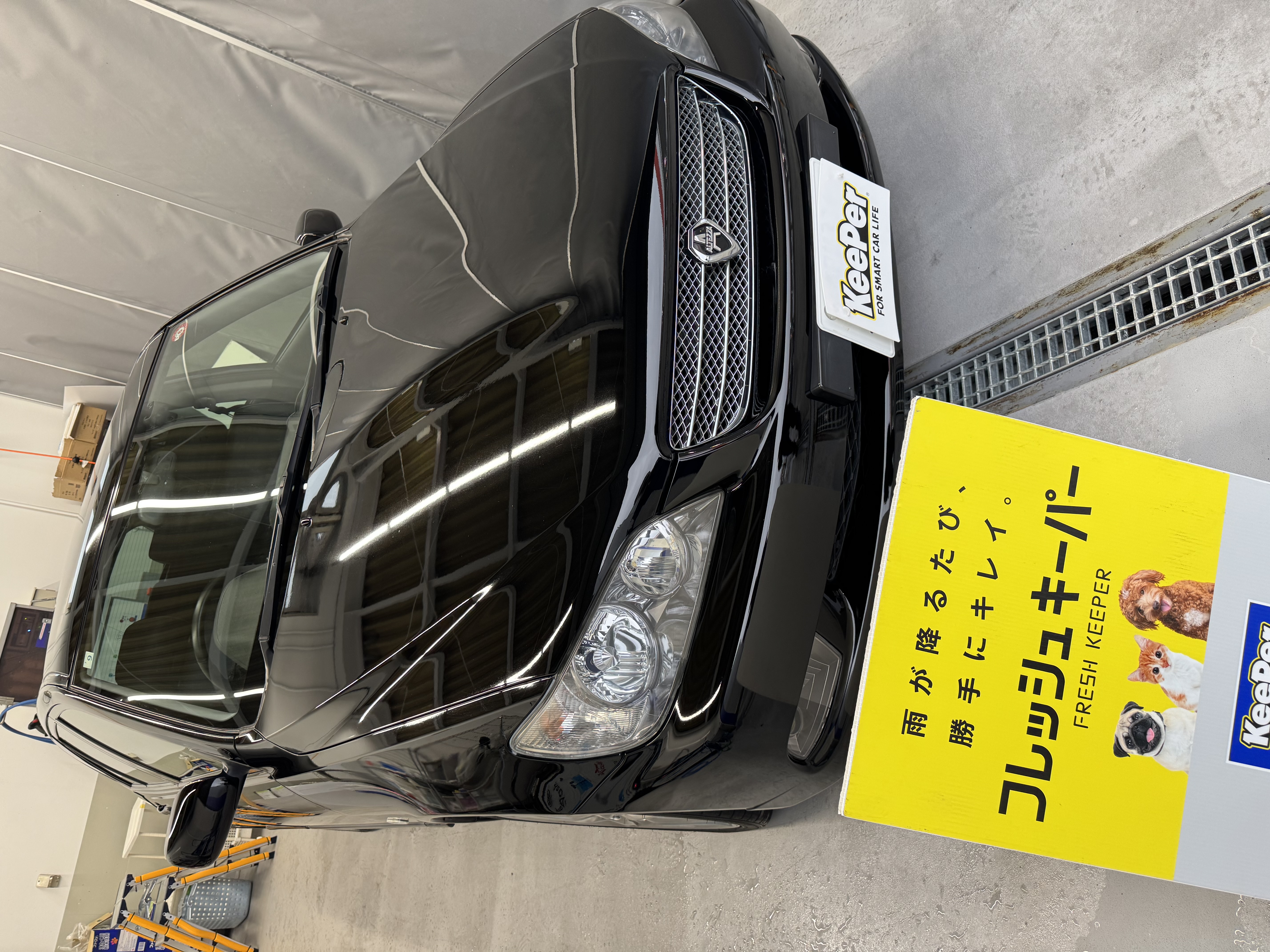 雨の日でも輝くアルテッツァへフレッシュキーパーでツヤ復活✨