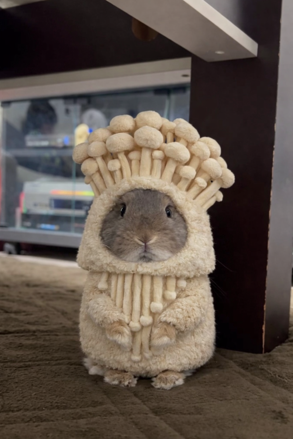 冬の車メンテは湾岸浦安フリートTSで安心オイル交換と洗車✨