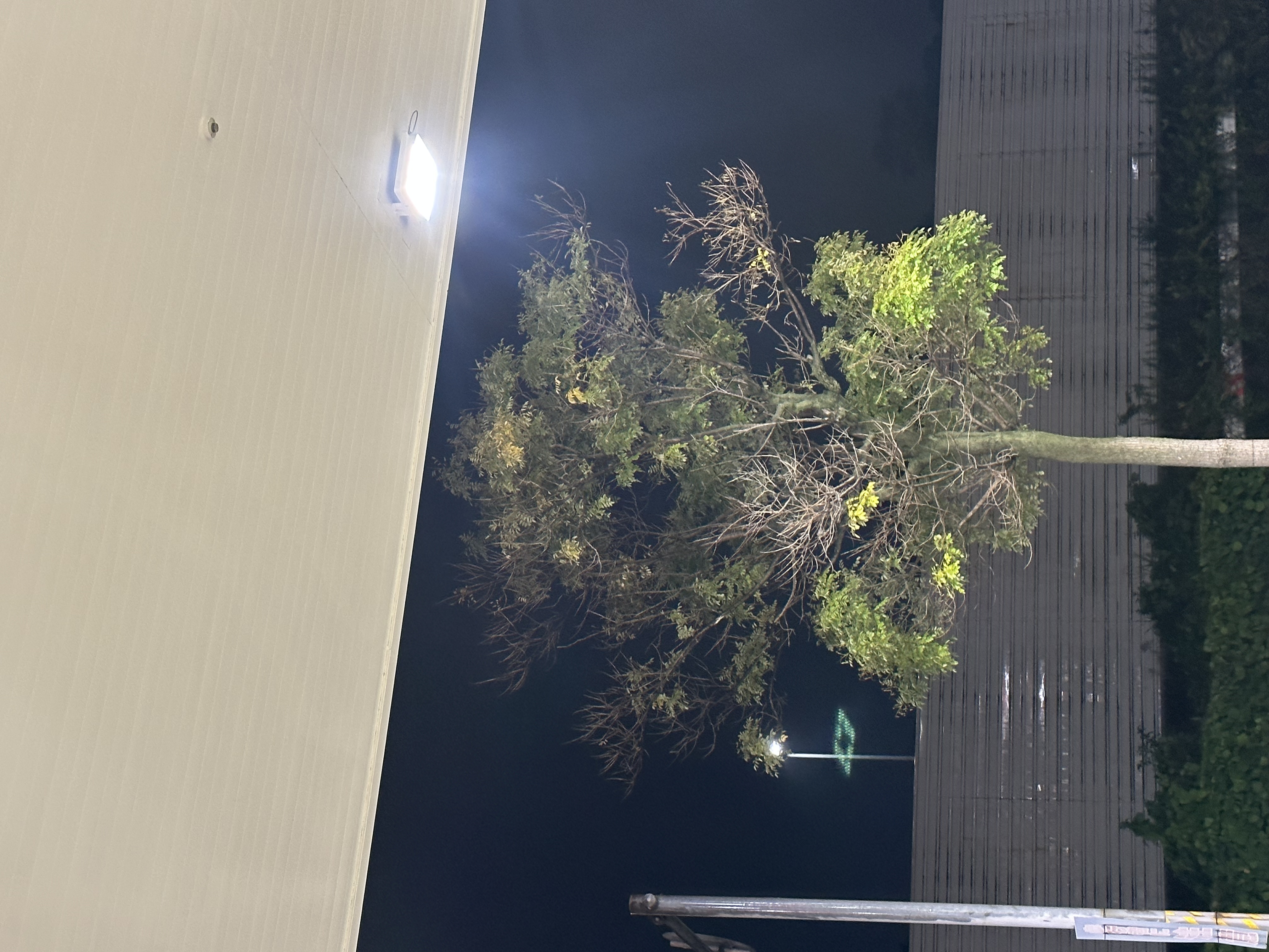 雨の日も安心湾岸浦安フリートTSの車メンテ＆洗車サービス☔️