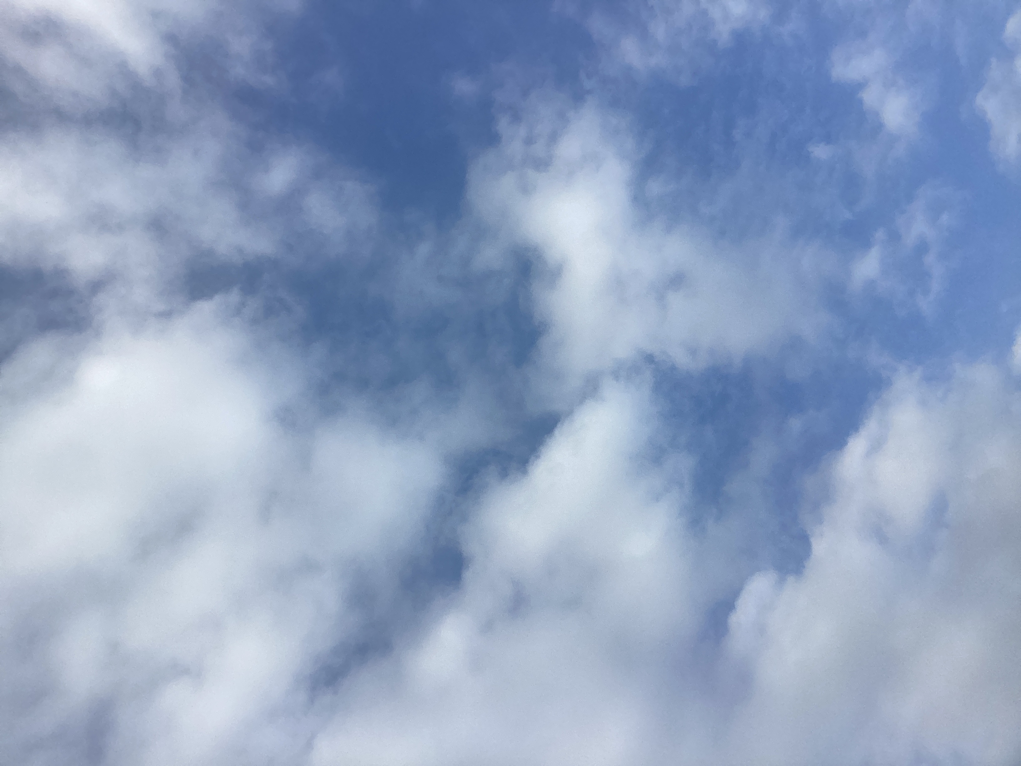 冬の愛車メンテは半額オイル交換と無料点検で安心🚗