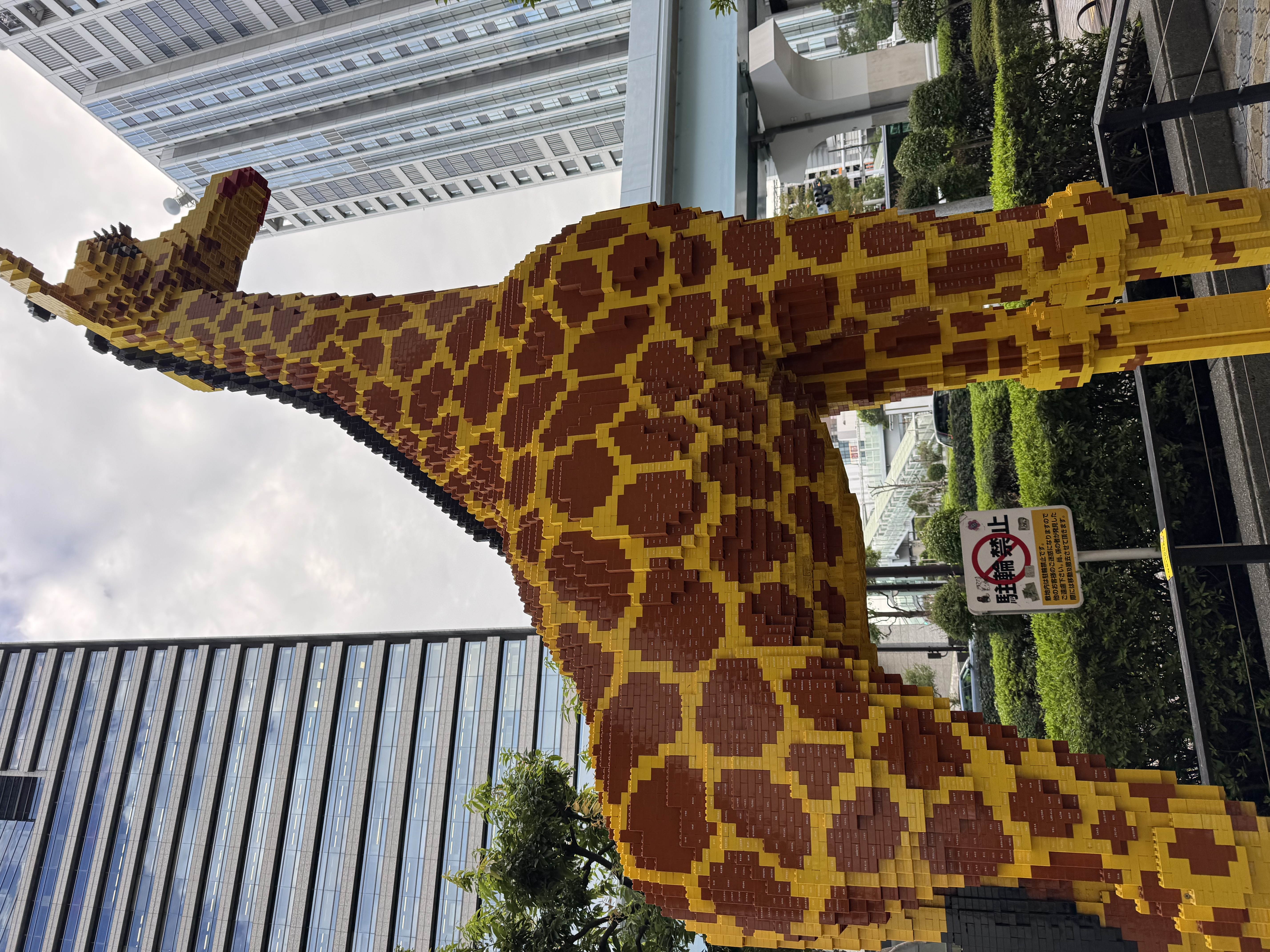 湾岸沿いの愛車メンテ術と冬前の防錆対策ポイント🚗