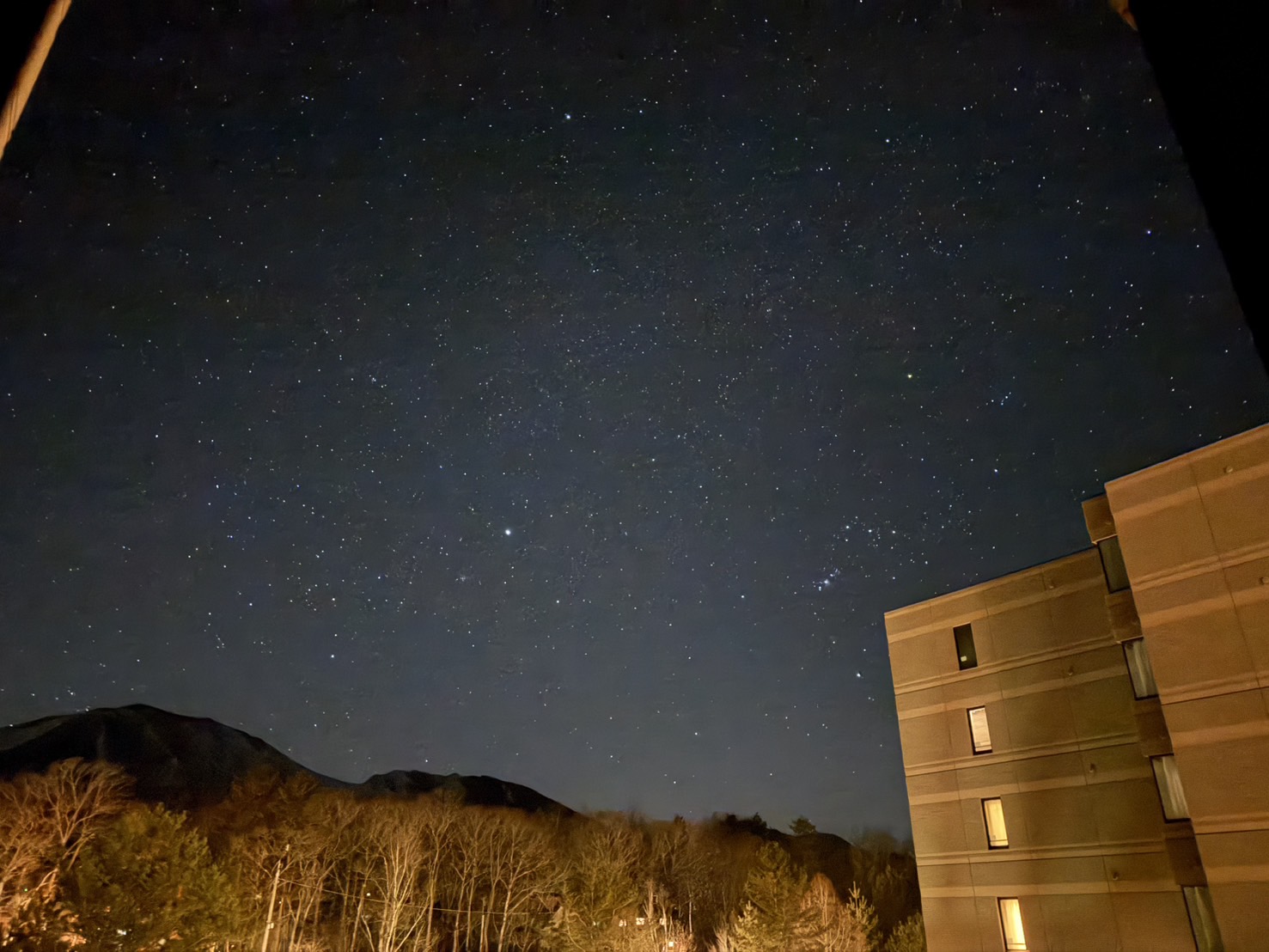 湾岸浦安フリートTSの春前メンテナンスと洗車ポイント🌸