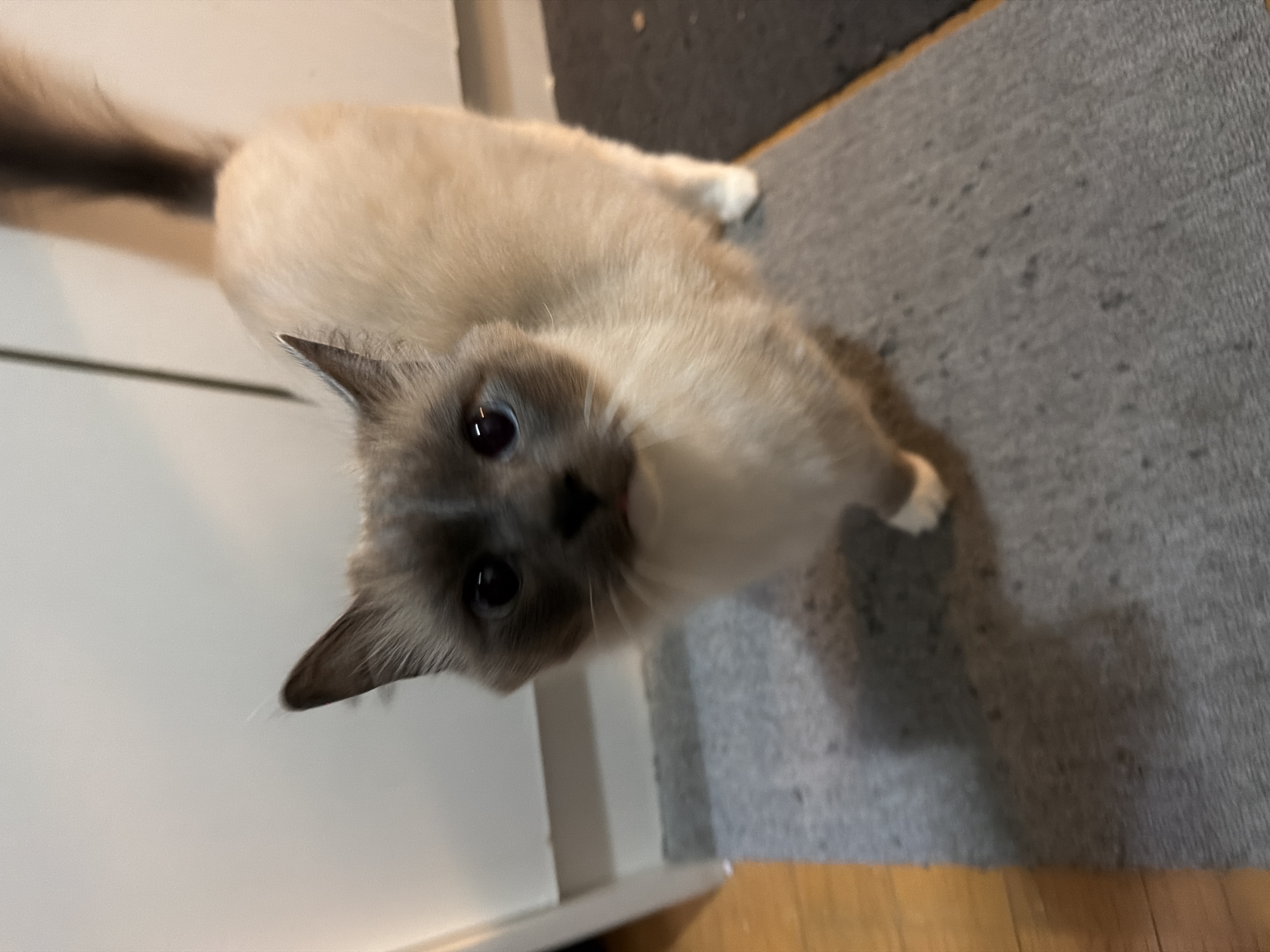 雨の日も安心湾岸浦安フリートTSのメンテナンスポイント☔🚗