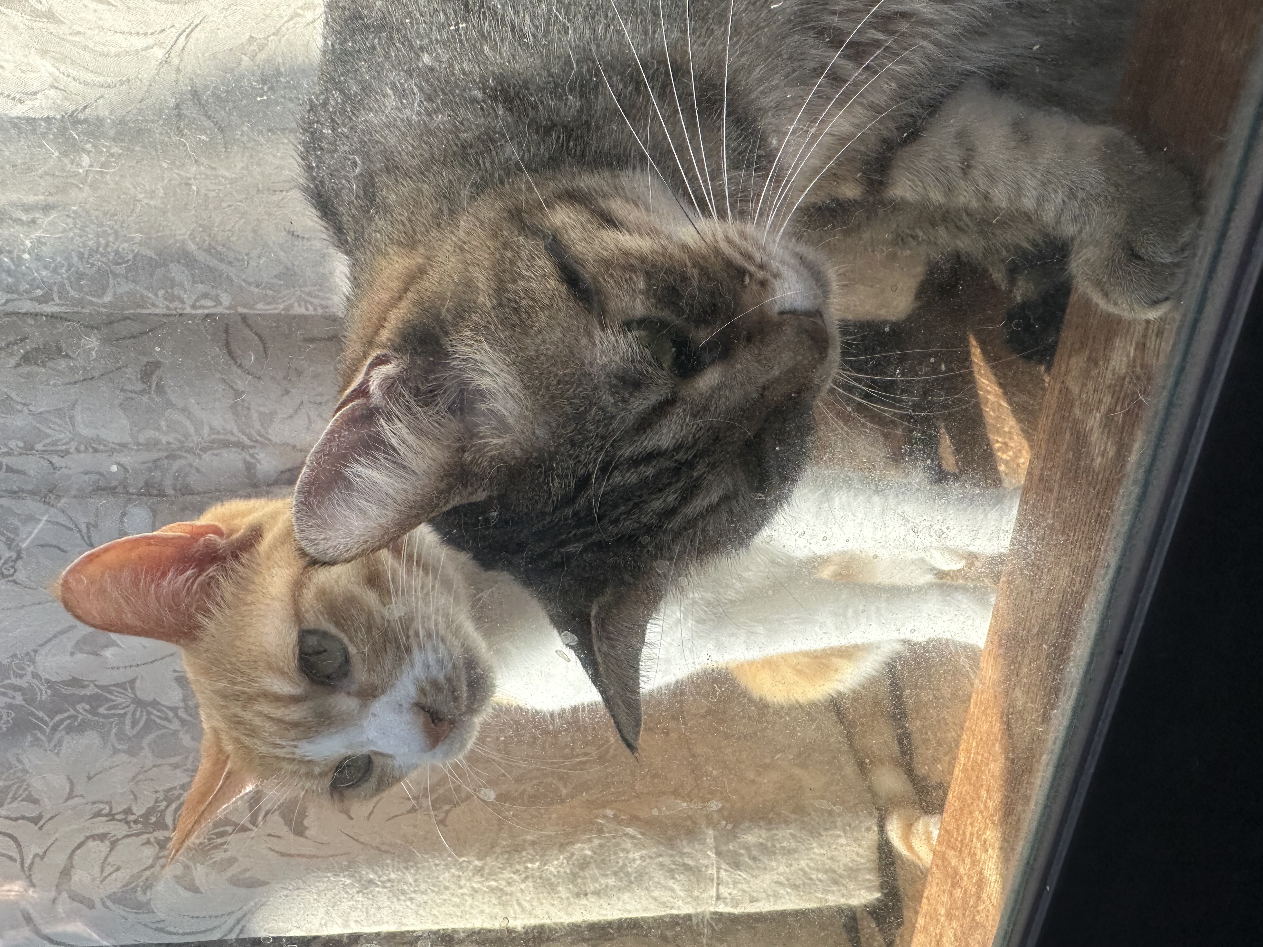 冬の車メンテナンスとお得なENEOSアプリ活用法をご紹介⛽