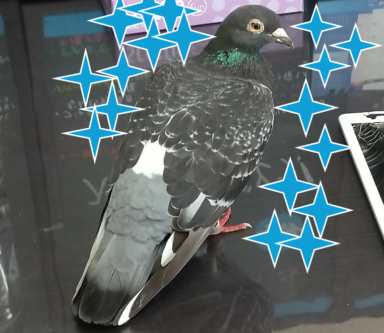 ある日の珍事件