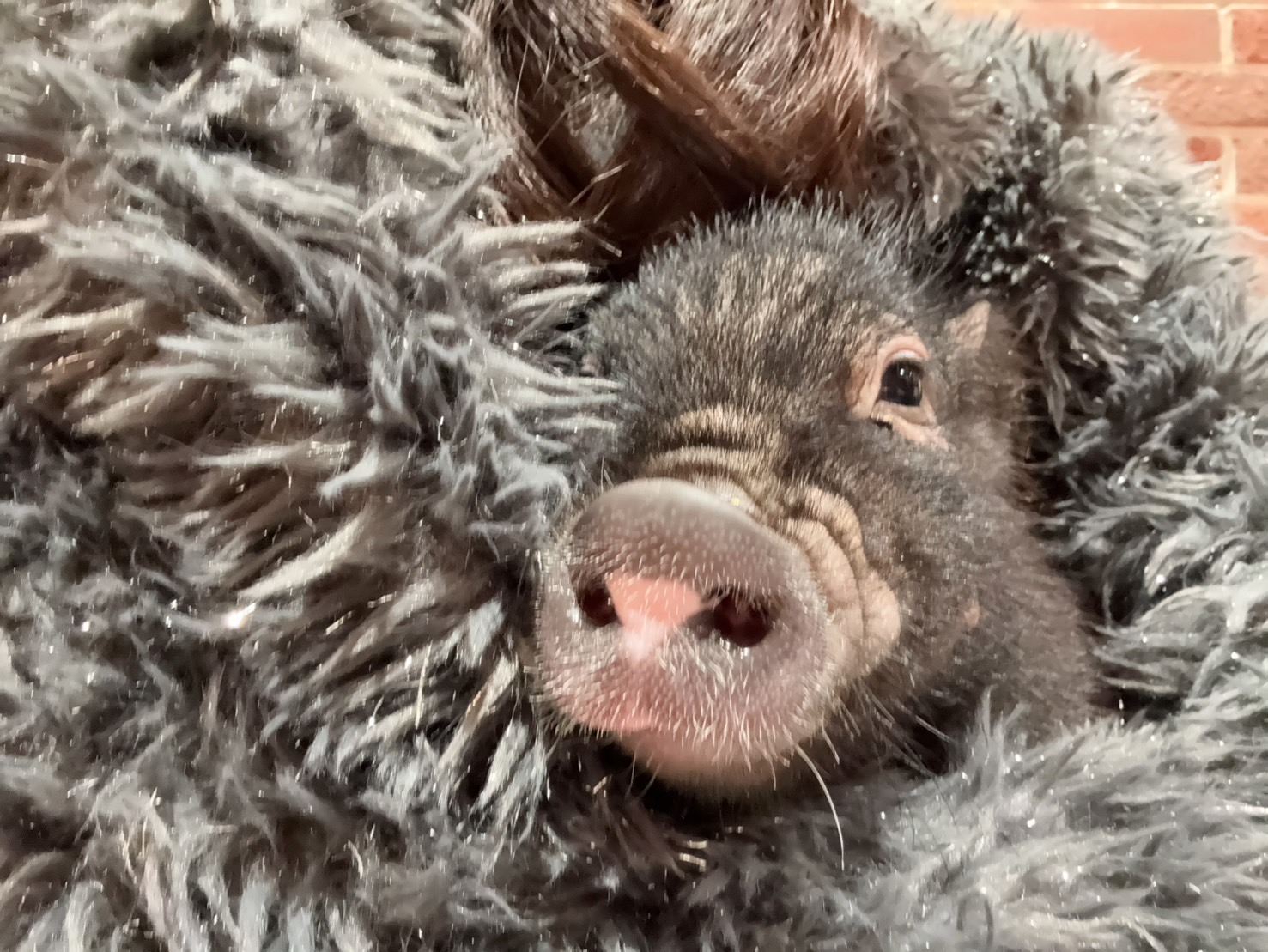 湾岸浦安フリートTSの秋洗車混雑と冬前メンテナンスの重要性