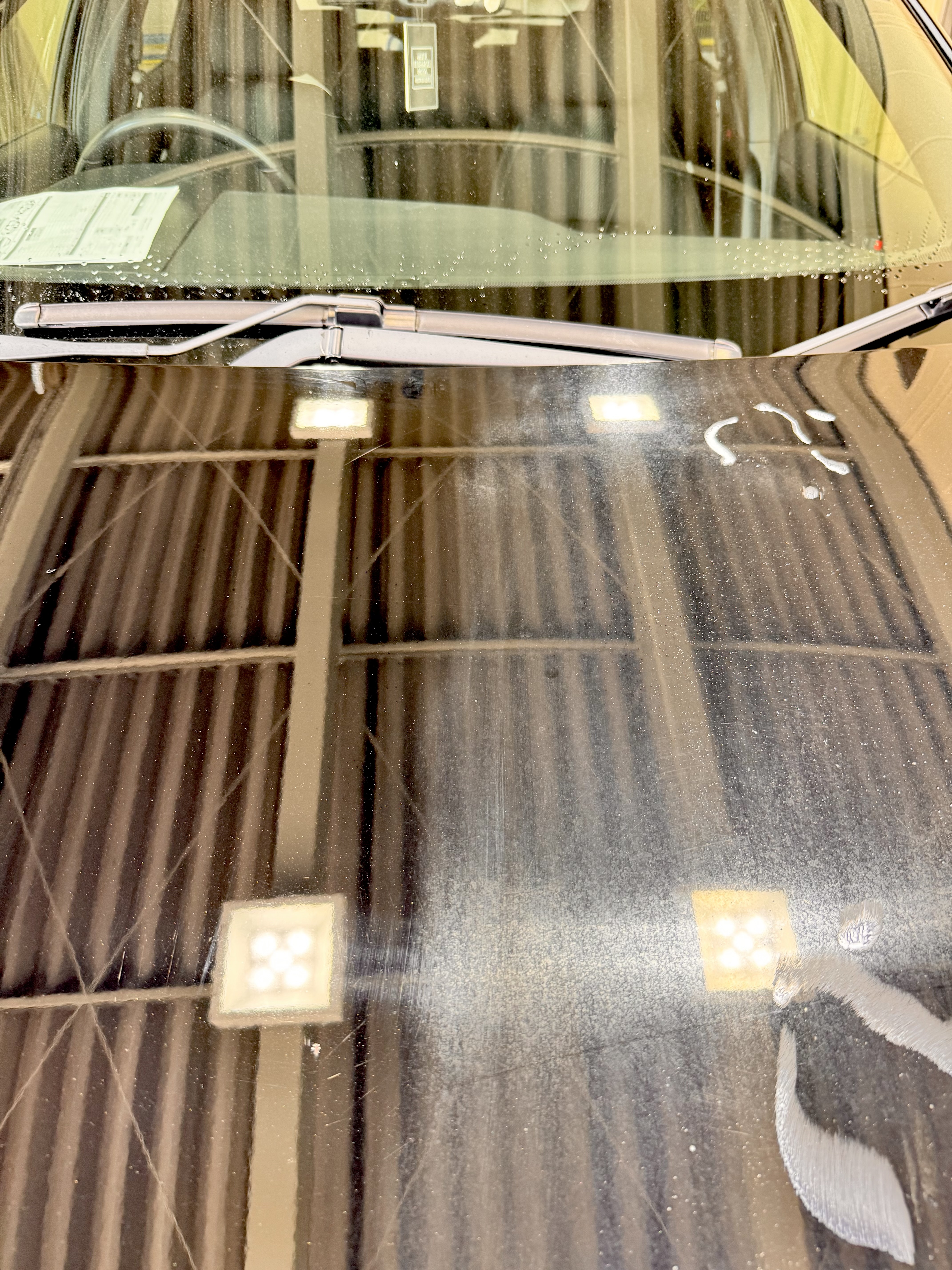 梅雨の車メンテ術とダイヤⅡ細密研磨で輝きを復活🚗