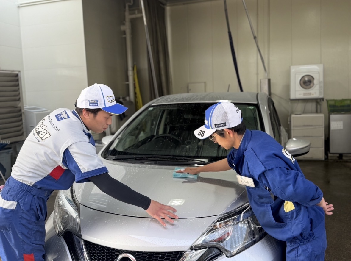 春の車メンテ術と洗車半額キャンペーン情報をチェック🚗✨