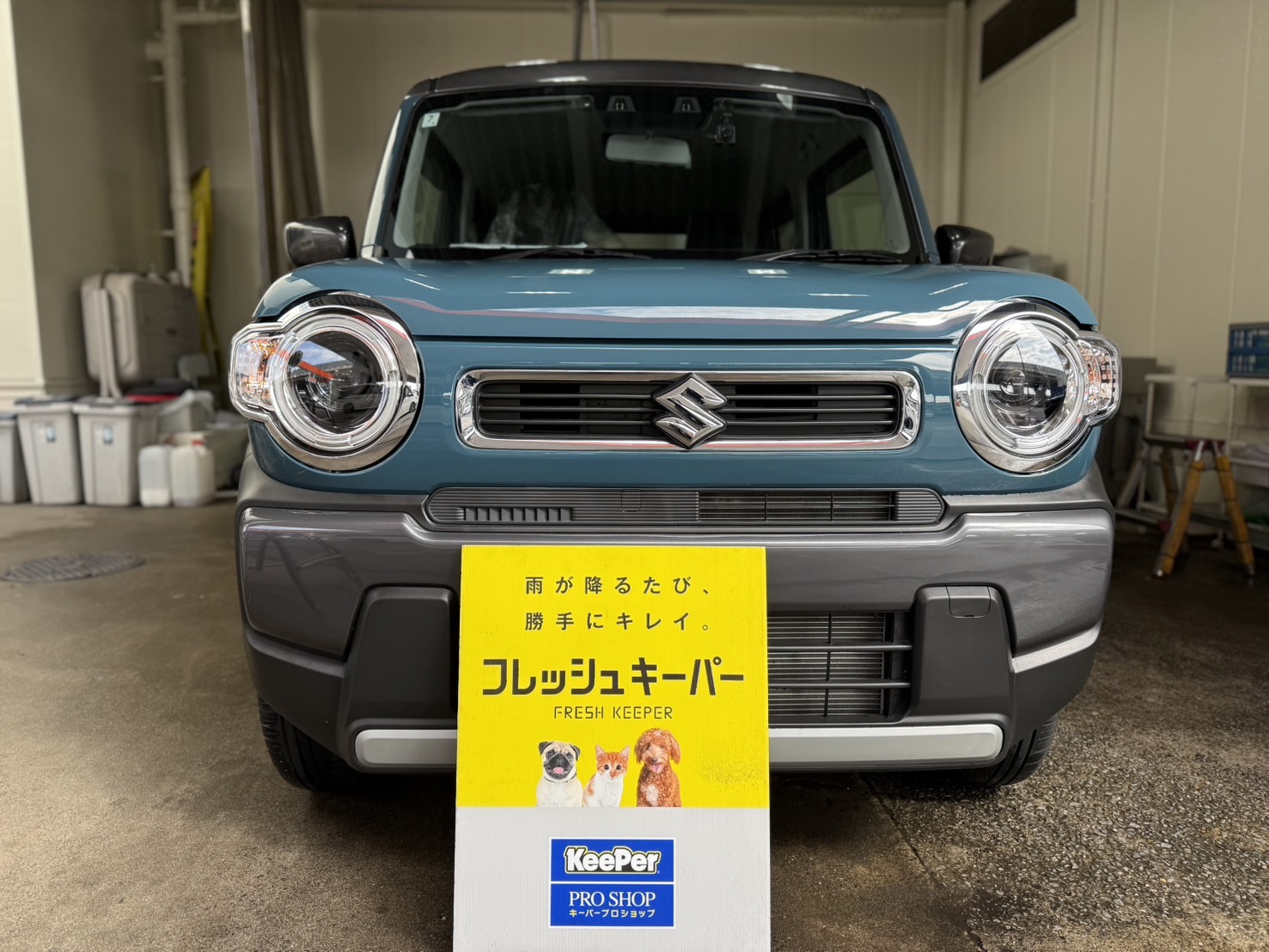 春の車メンテナンスとコーティングで快適ドライブを楽しもう🌸