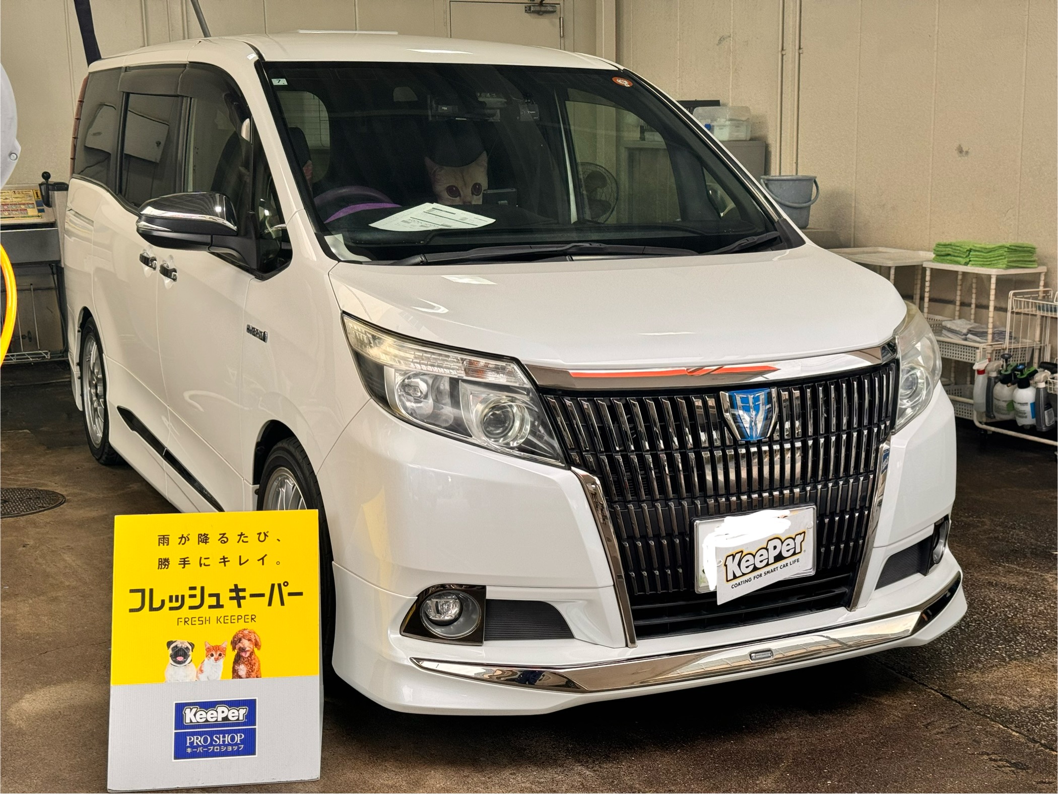 冬の愛車ケアは船橋湾岸TSで洗車＆お得なコーティングキャンペーン🚗