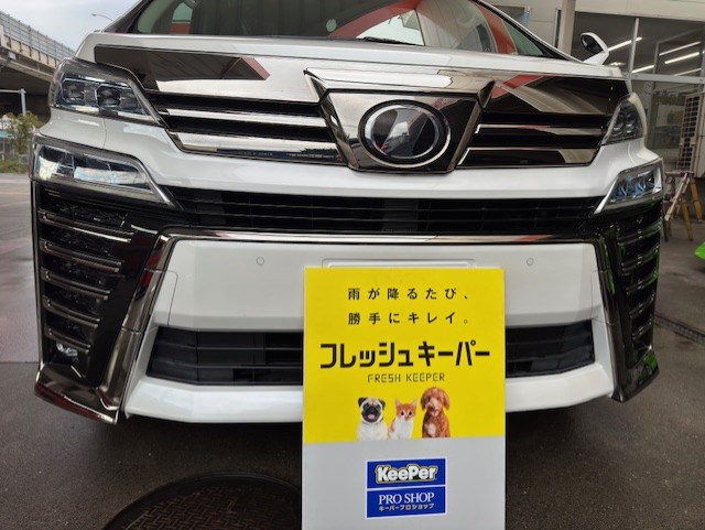 冬の黄砂対策におすすめ車コーティングとお得キャンペーン情報🚗