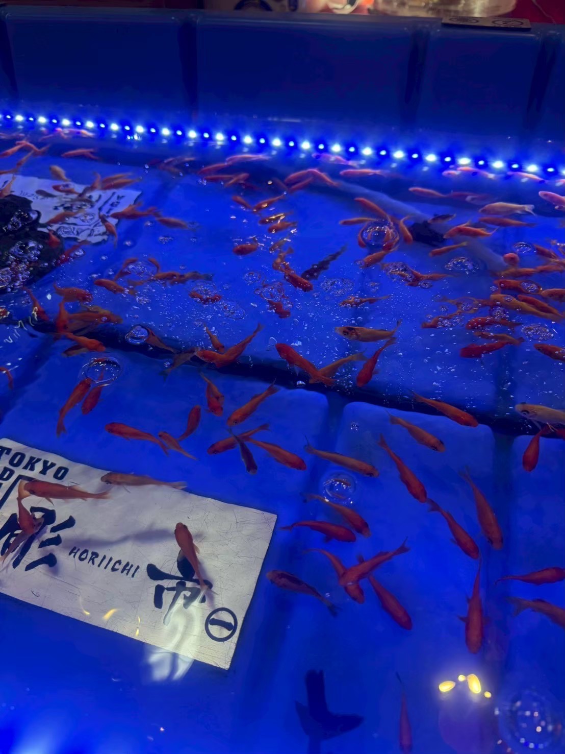 カーウォッシュ亀有SS秋の車メンテナンス情報🐟
