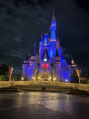 夢の国を満喫ディズニーアフター5と愛車メンテナンスのポイント
