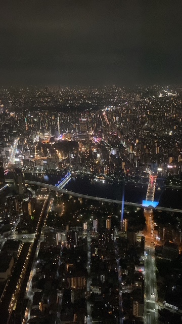 東京スカイツリー夜景と夏の車メンテナンス対策ガイド🚗