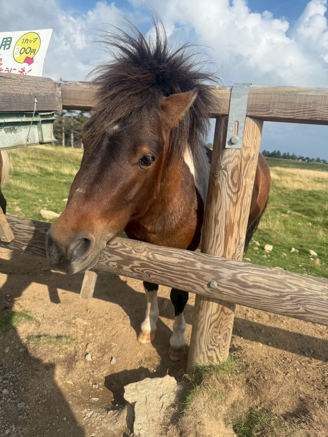 冬の車トラブル対策と洗車のコツをカーウォッシュ亀有SSからご紹介🚗✨