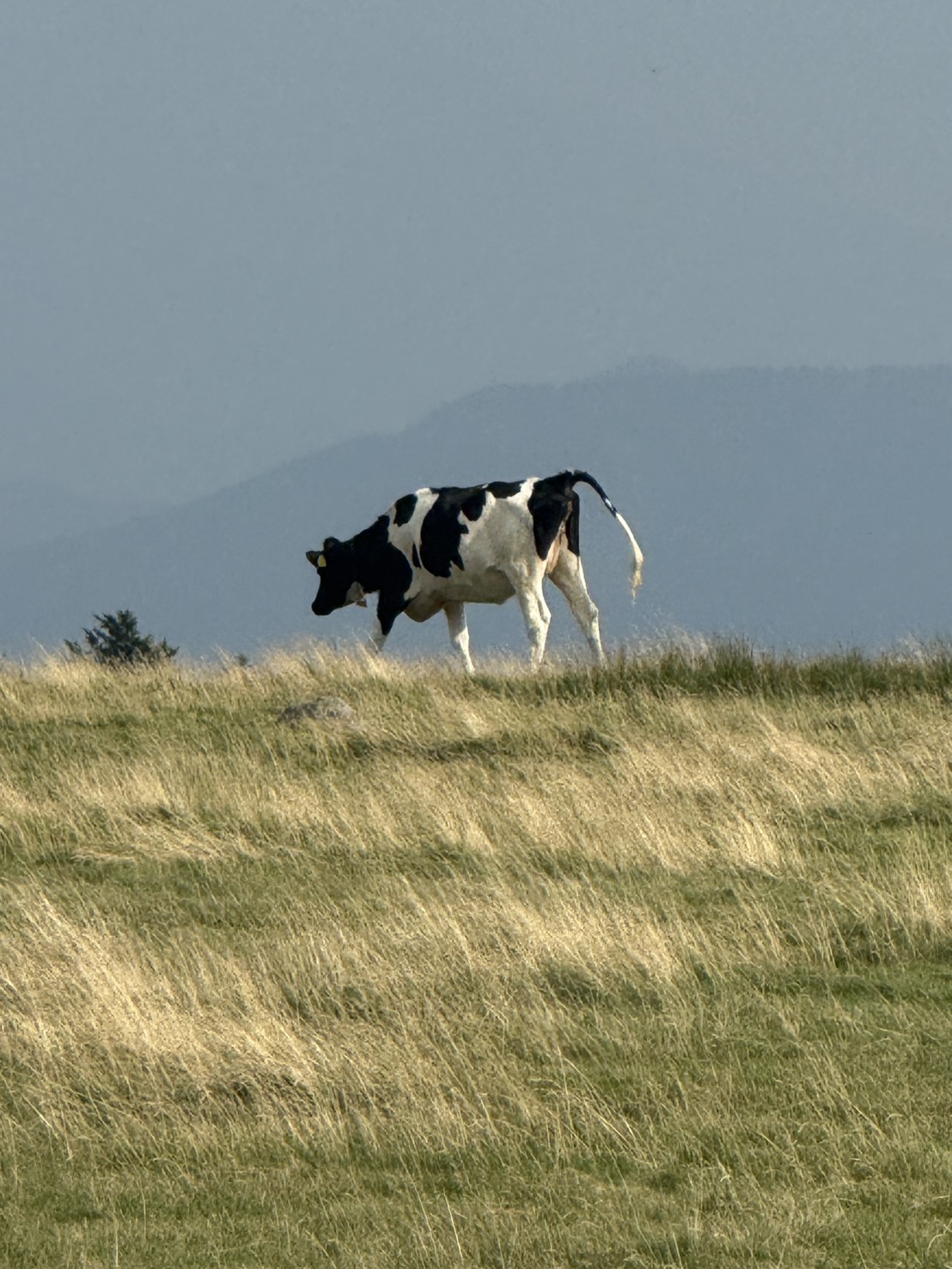 冬の車メンテナンスと洗車で快適ドライブを楽しもう😊