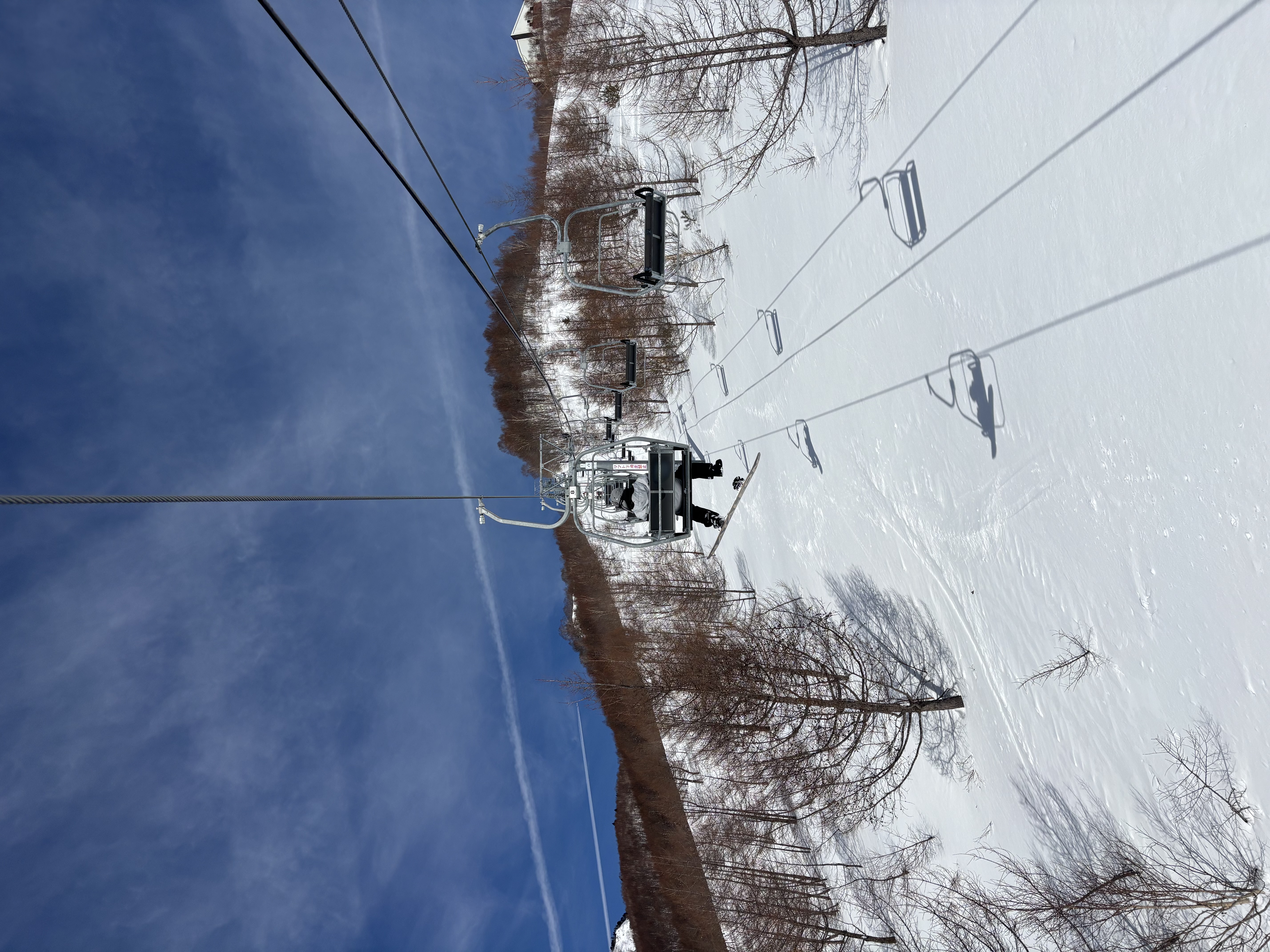 春の車メンテナンスにおすすめ手洗い洗車と点検サービス🚗