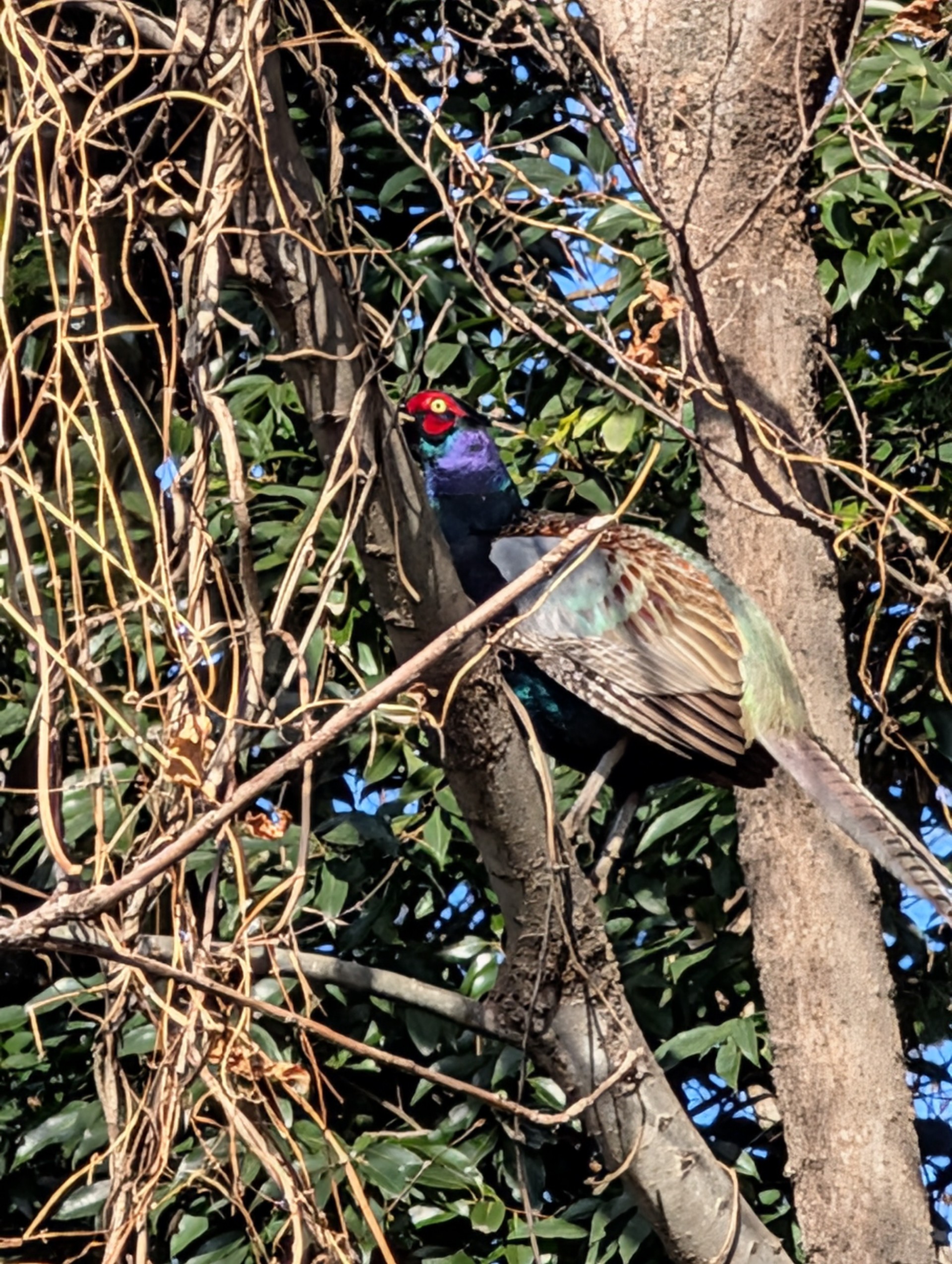 宇都宮南TSの冬の車点検ポイントと安心ドライブのコツ⛽️
