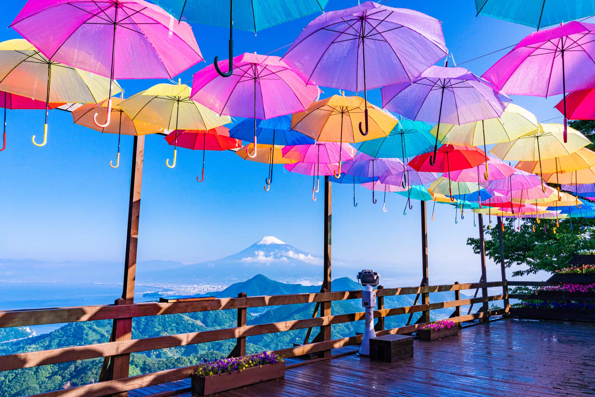 雨の日も安心プリウスのコーティングで愛車を守ろう🌧️✨