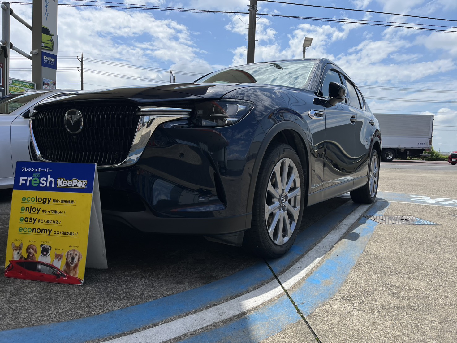 ブルーのCX60がテカテカボディーに