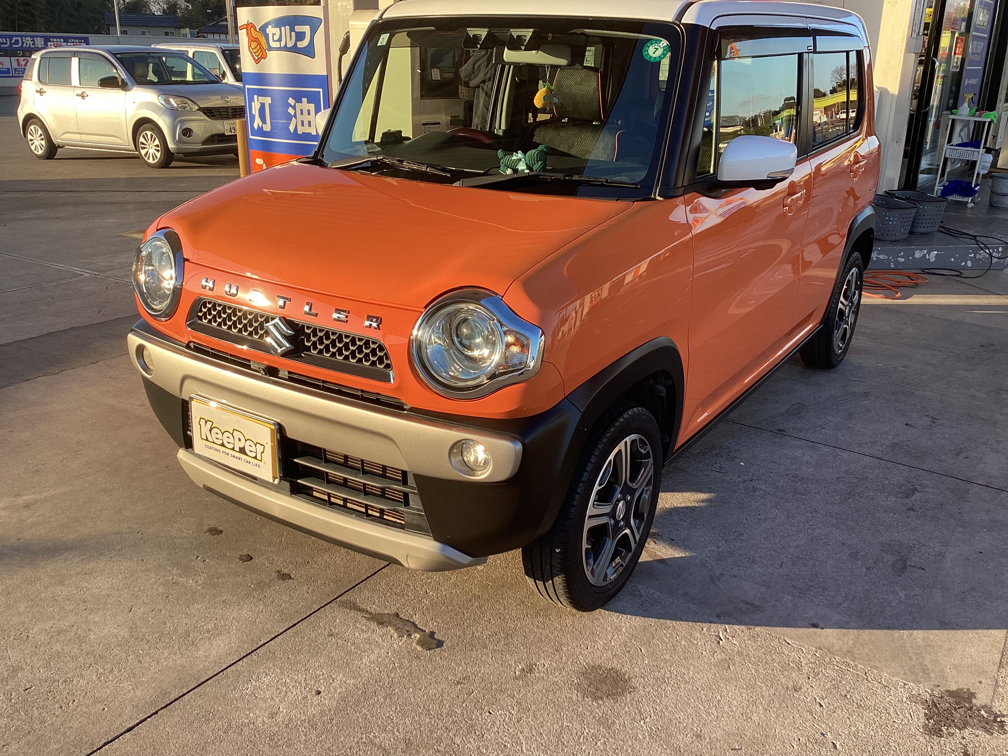 冬の愛車メンテナンスにおすすめコーティングと点検情報🚗✨