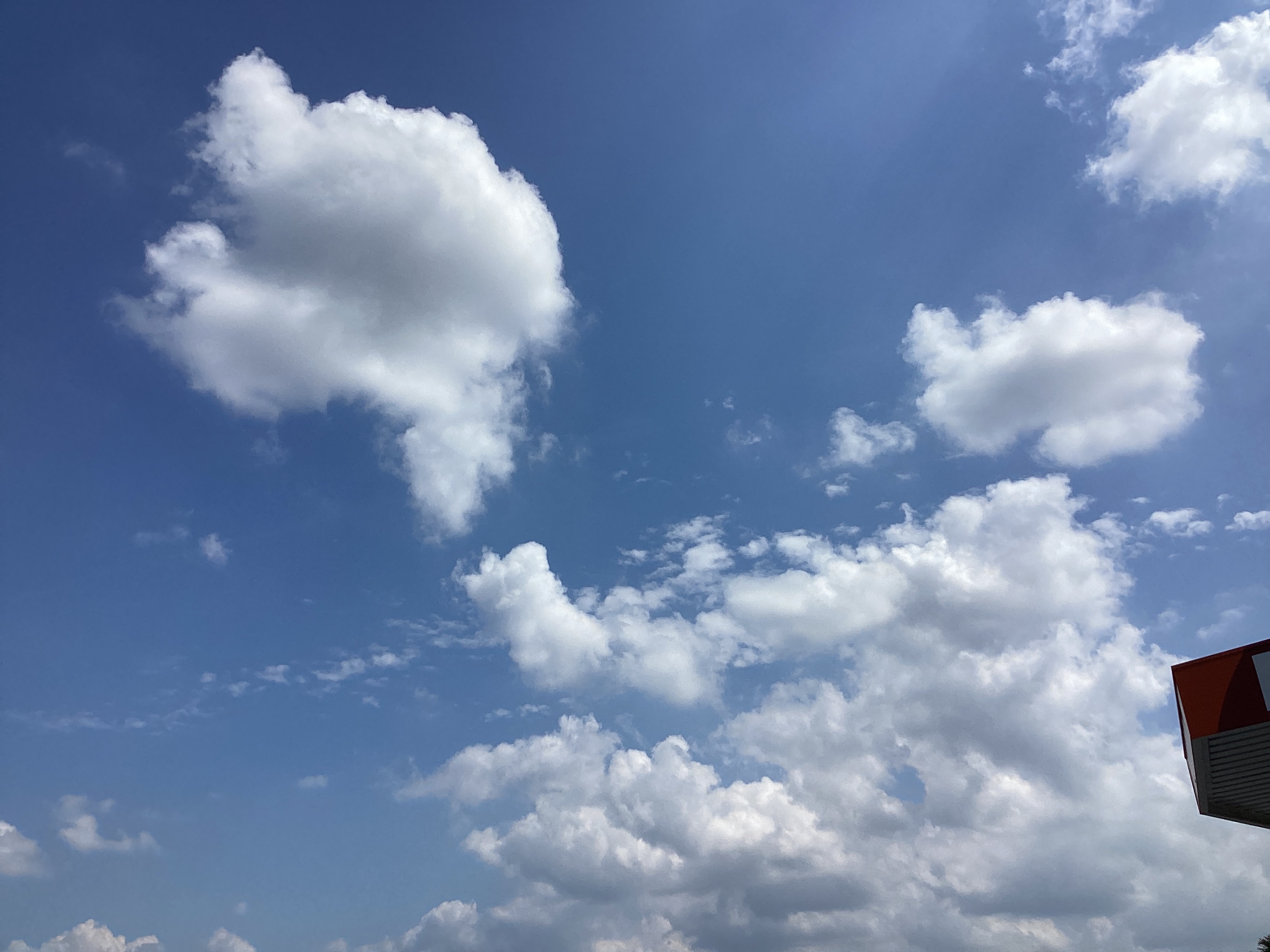 夏の車トラブル対策におすすめタイヤ点検と給油サービス🌞