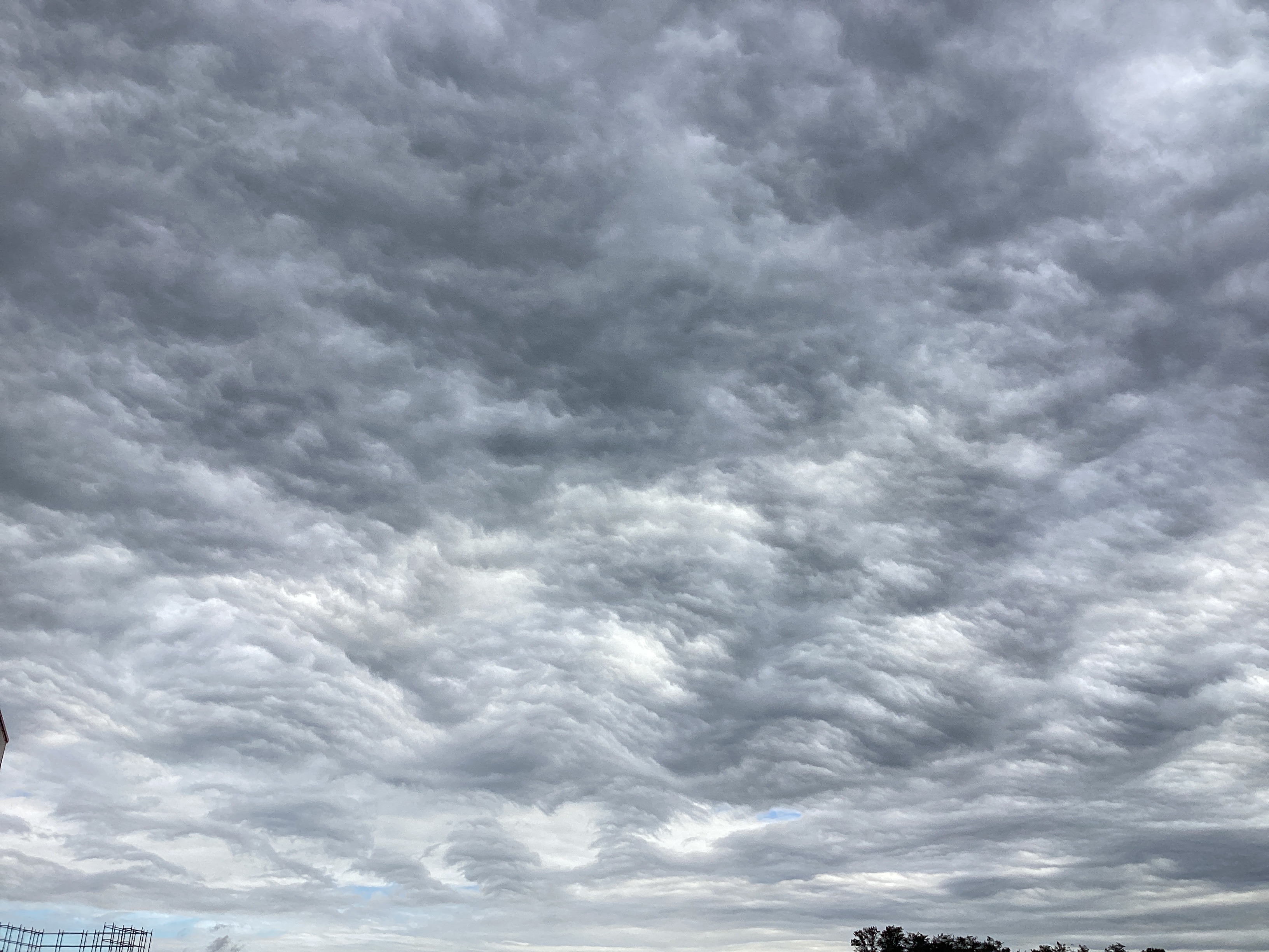 秋の空と愛車ケアのポイント|ルート新4号小山北TSで安心ドライブ☁️