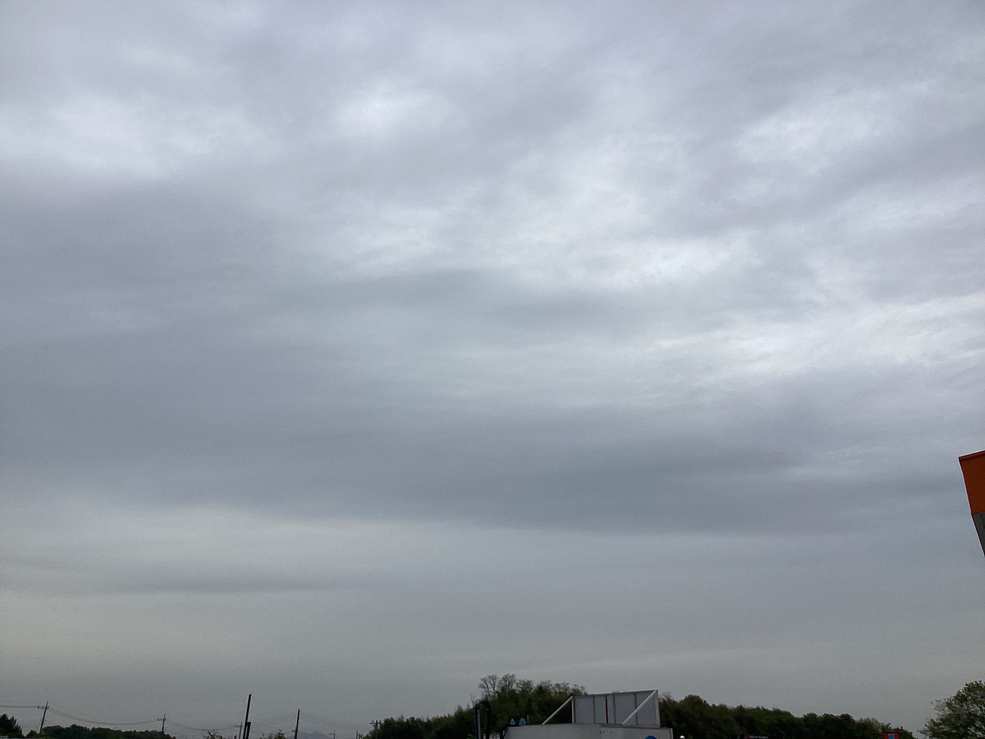 黄砂と雨に負けない春の洗車対策と愛車メンテナンス🚗