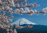 ドライブスルー洗車で手軽に愛車ピカピカにしよう🚗✨