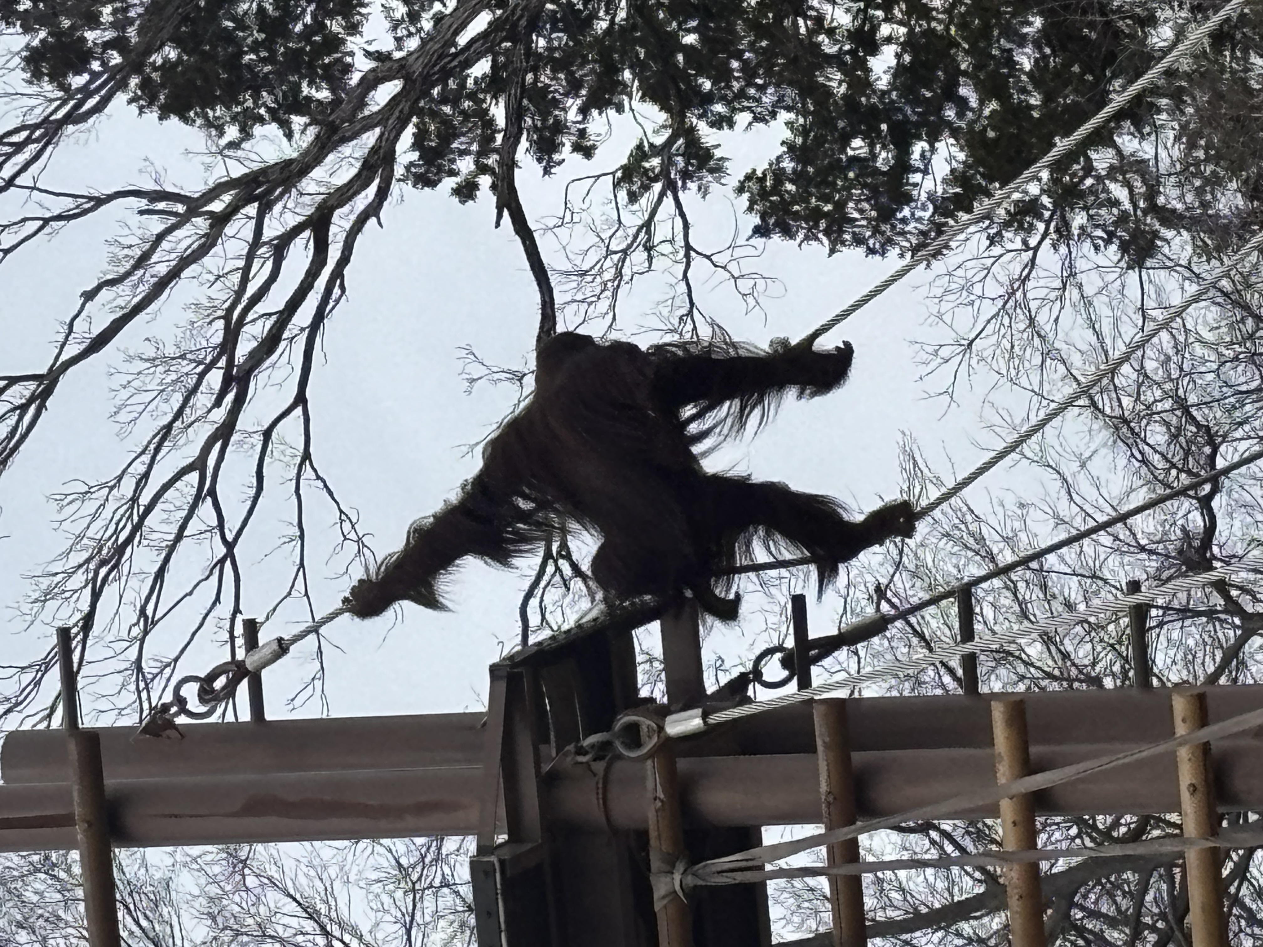 春のタイヤ脱着キャンペーンと愛車点検のおすすめポイント🚗