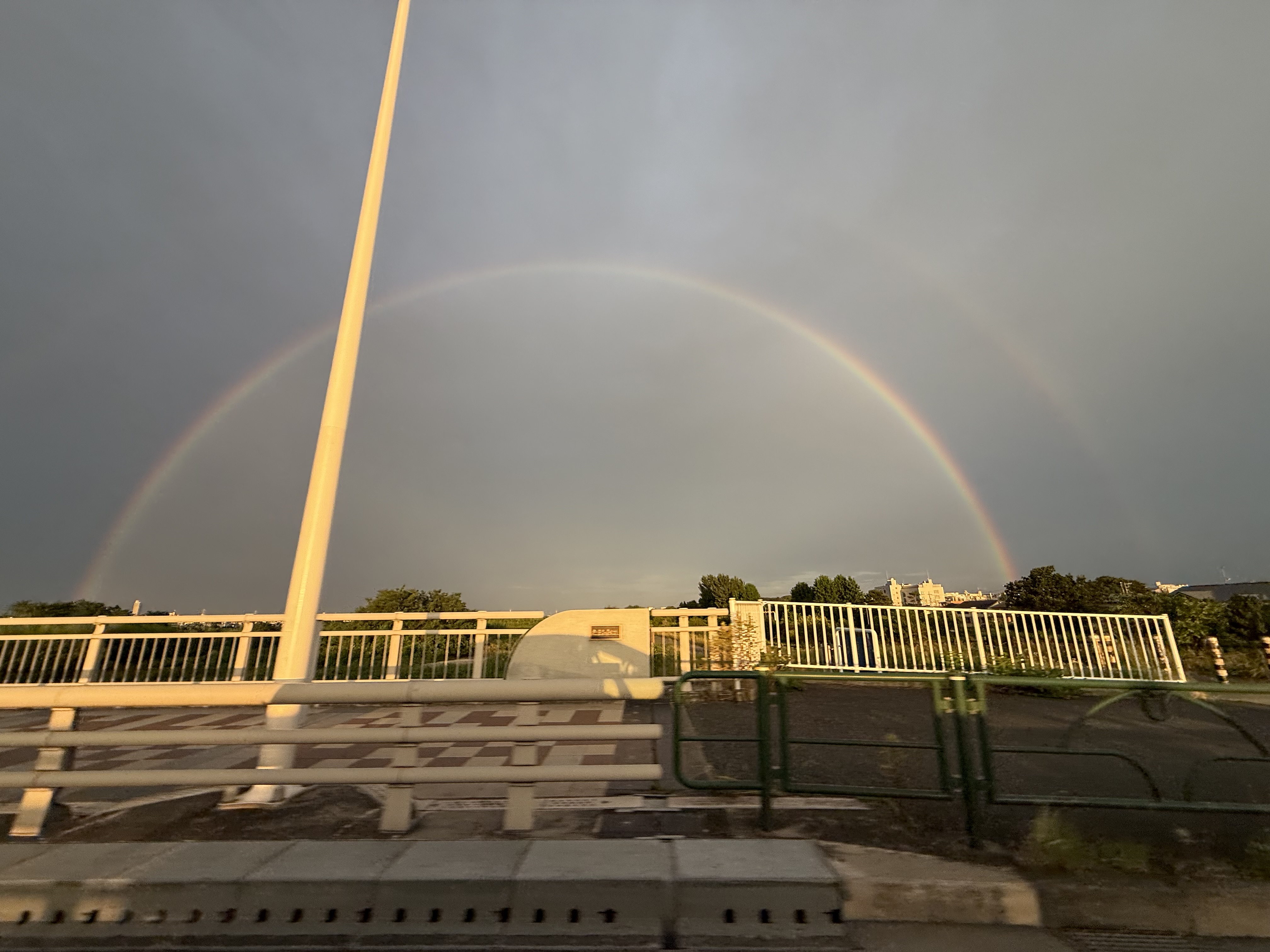 春の車メンテとお得なタイヤ交換キャンペーン情報🚗セルフ富士見バイパスSSで安心ドライブ