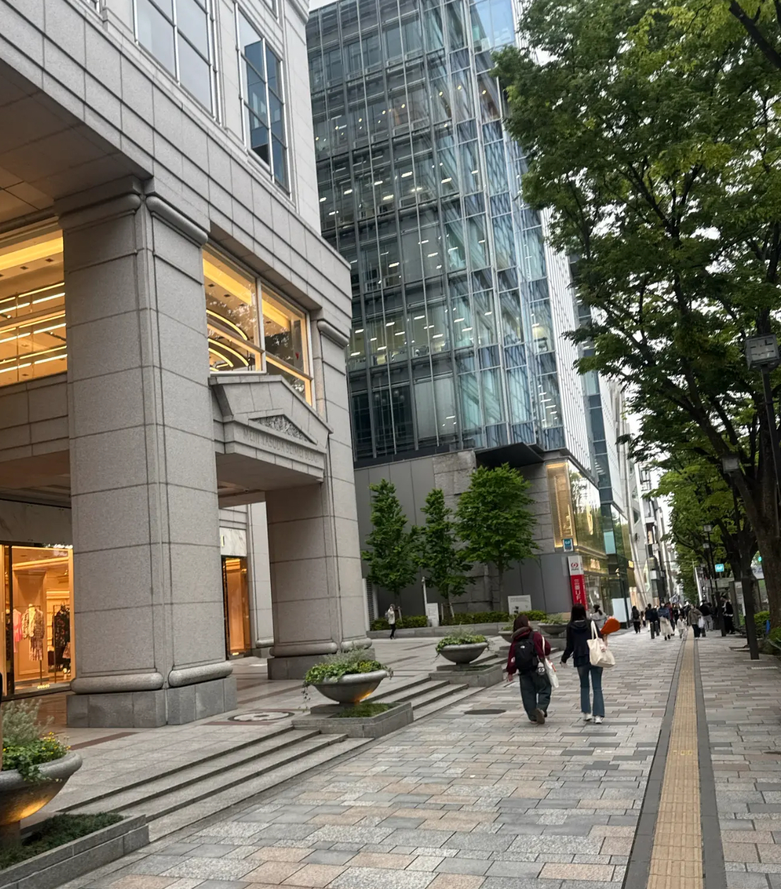 春の車メンテナンスポイントとお得なコーティング割引情報🚗✨