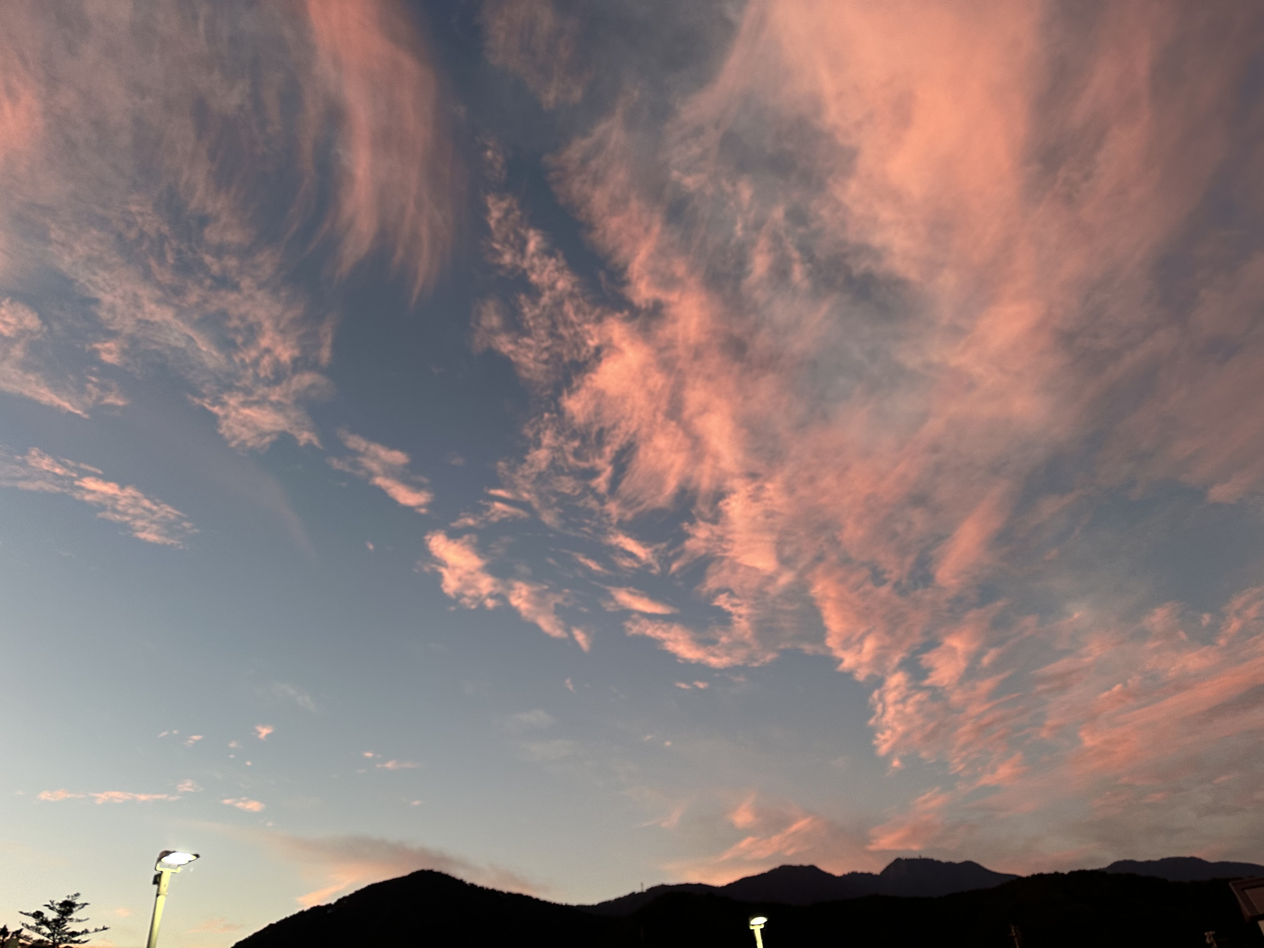 秋のドライブ前に安心タイヤ交換とお得なコーティング情報🚗