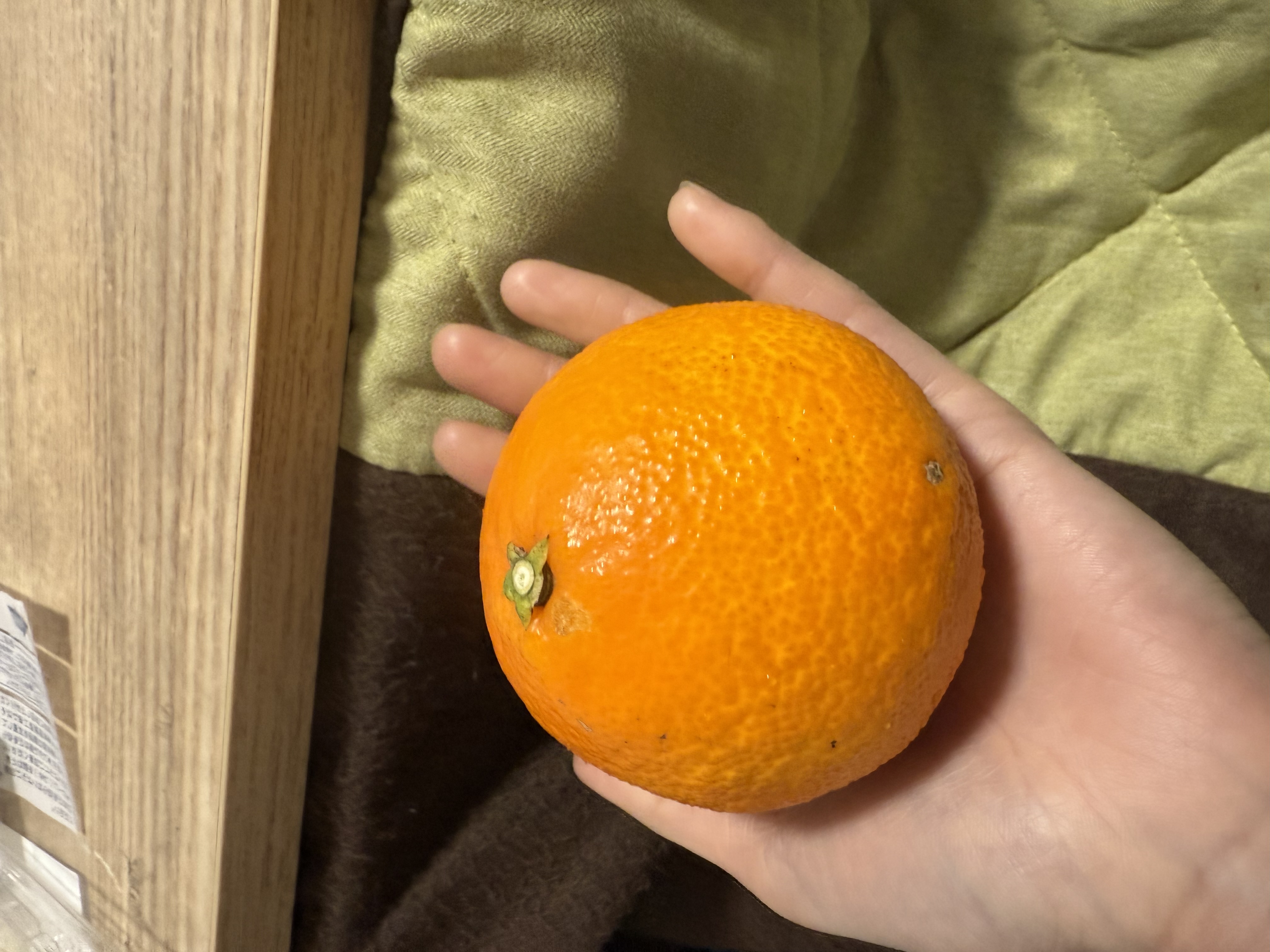 冬の手洗い洗車キャンペーンで愛車ピカピカにしよう🚗✨