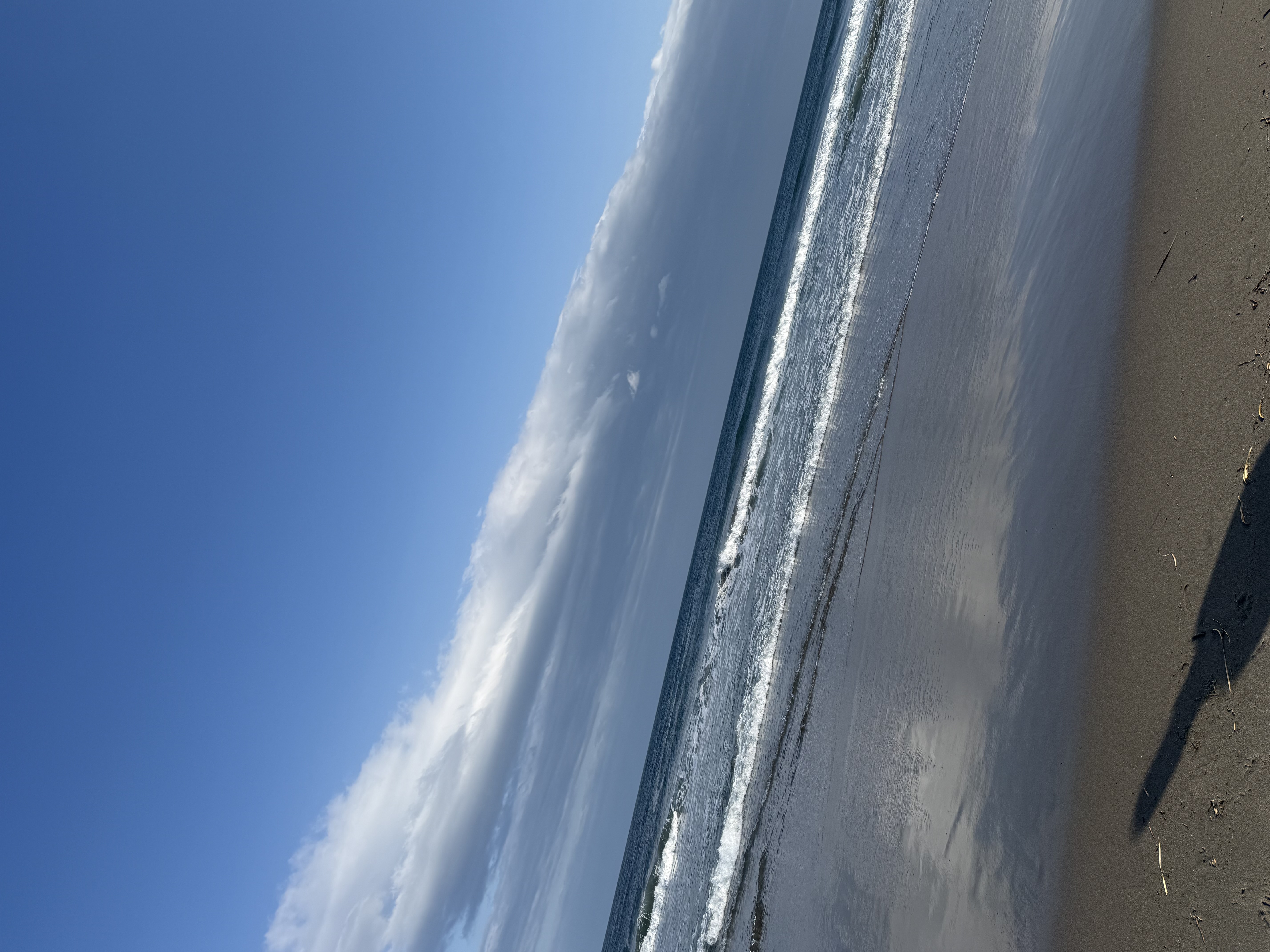 春のドライブ応援タイヤ選びと点検ポイントを紹介🌸安全運転のコツ