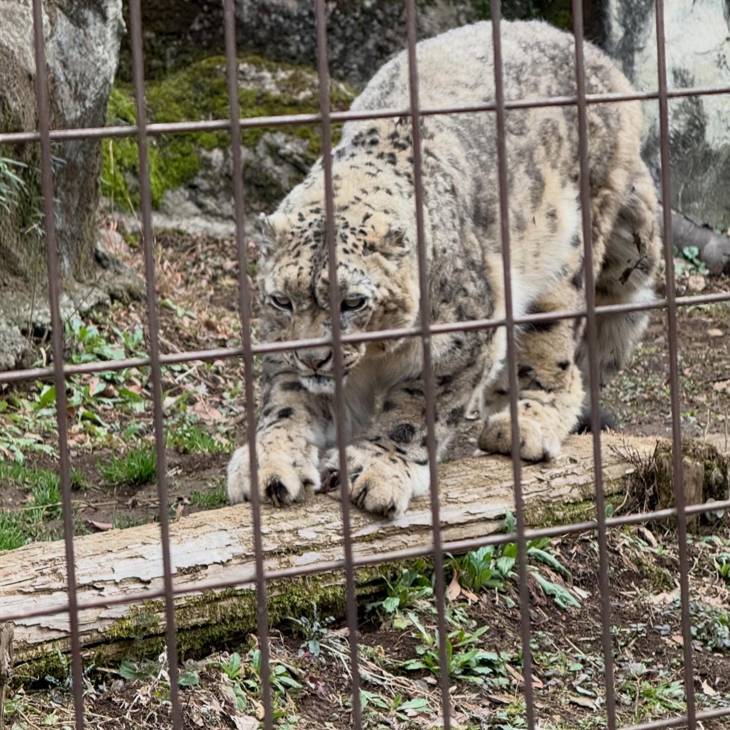 春の愛車メンテナンスポイントとお得なタイヤ交換情報🌸
